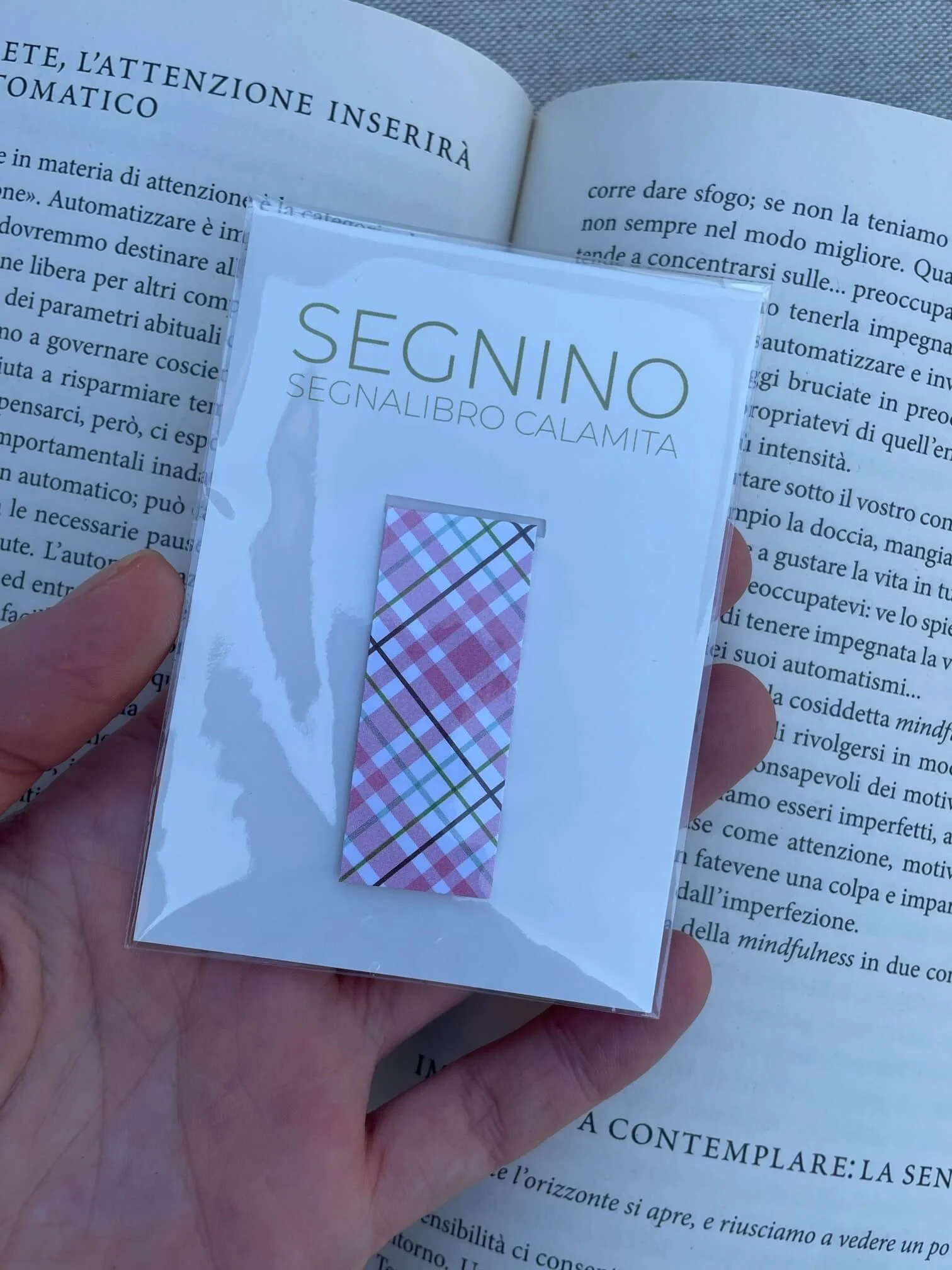 SEGNINO PICCOLO scozzese rosa