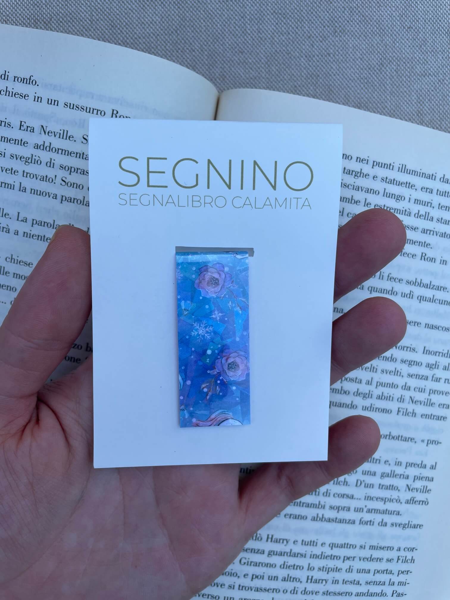 SEGNINO PICCOLO favola plastificato