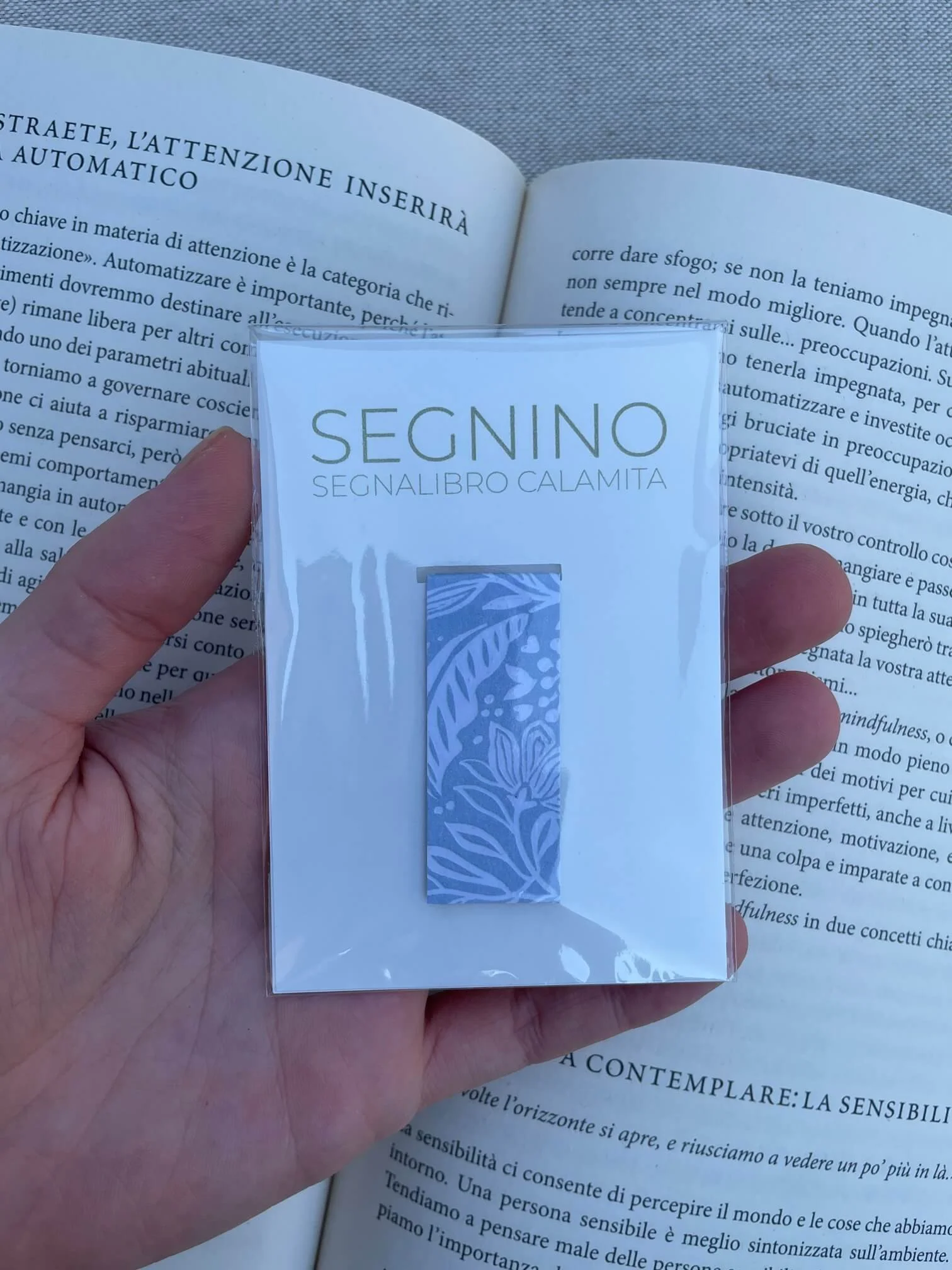 SEGNINO PICCOLO celeste