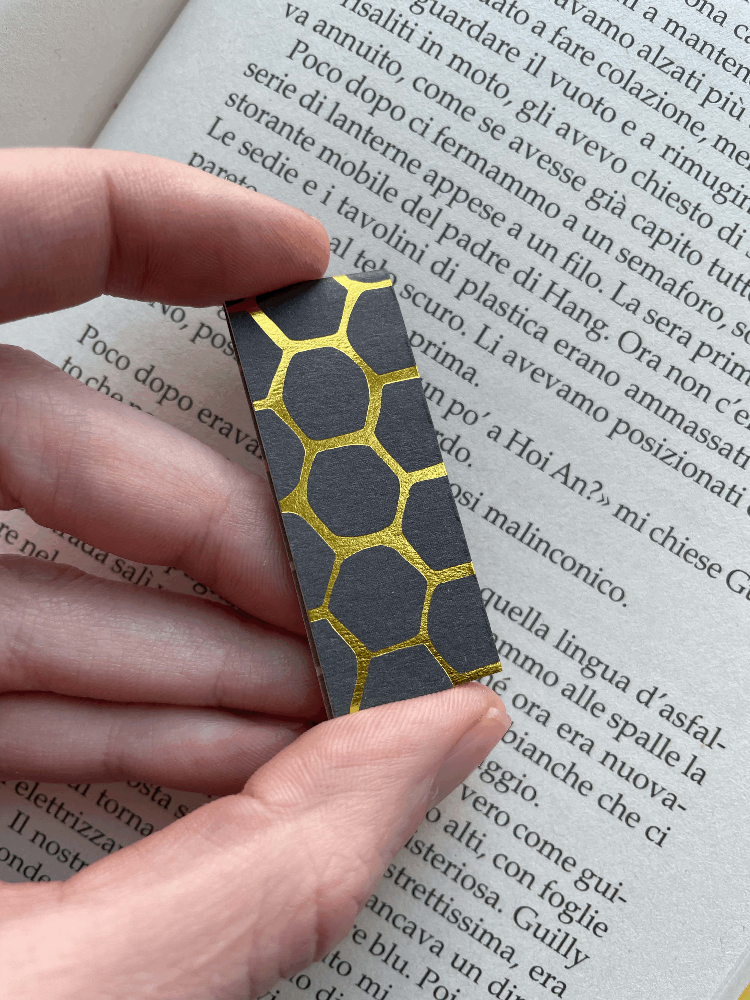 SEGNINO PICCOLO alveare oro 9