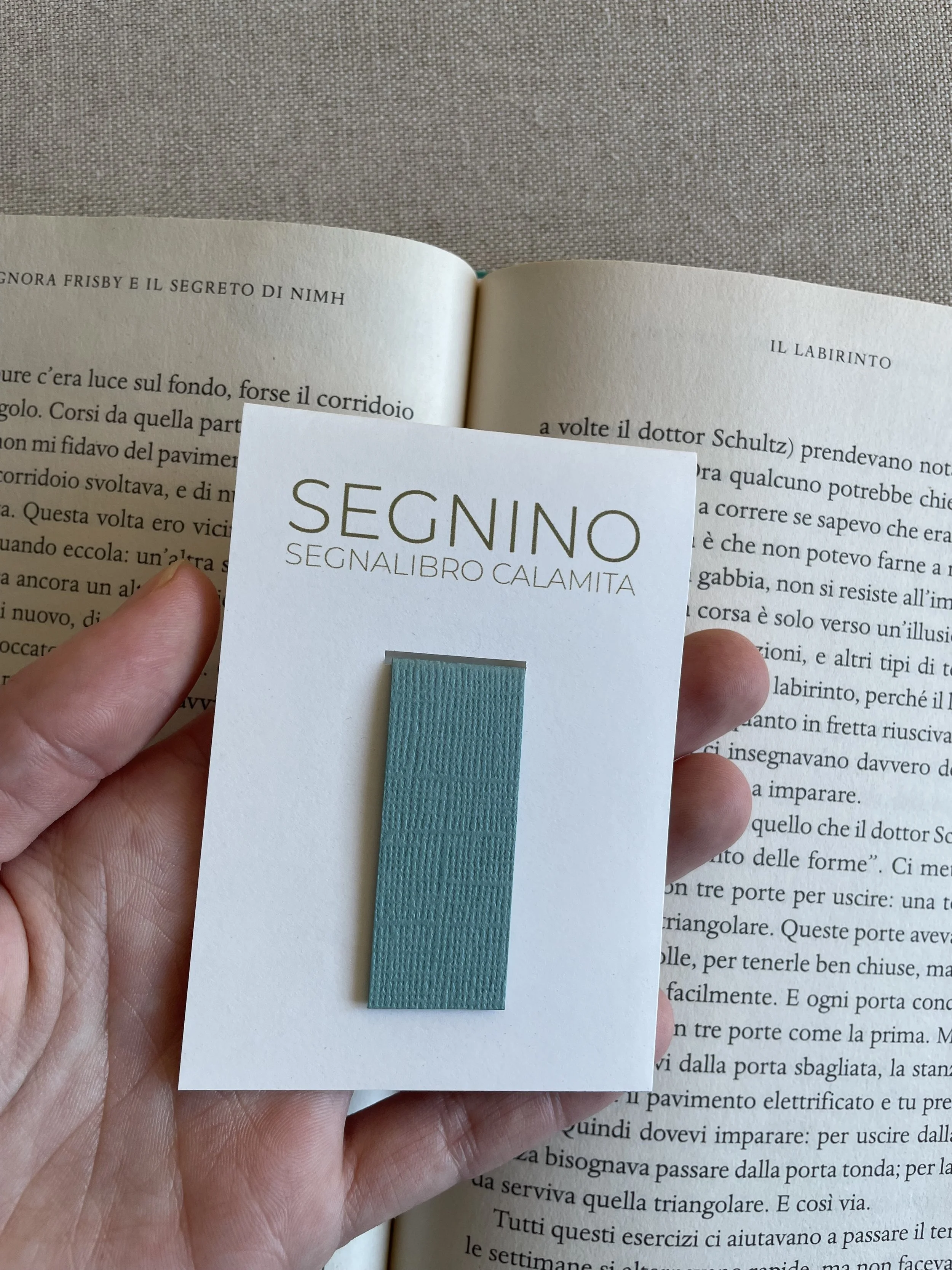 Foto 08-12-25, 12 14 24.jpg