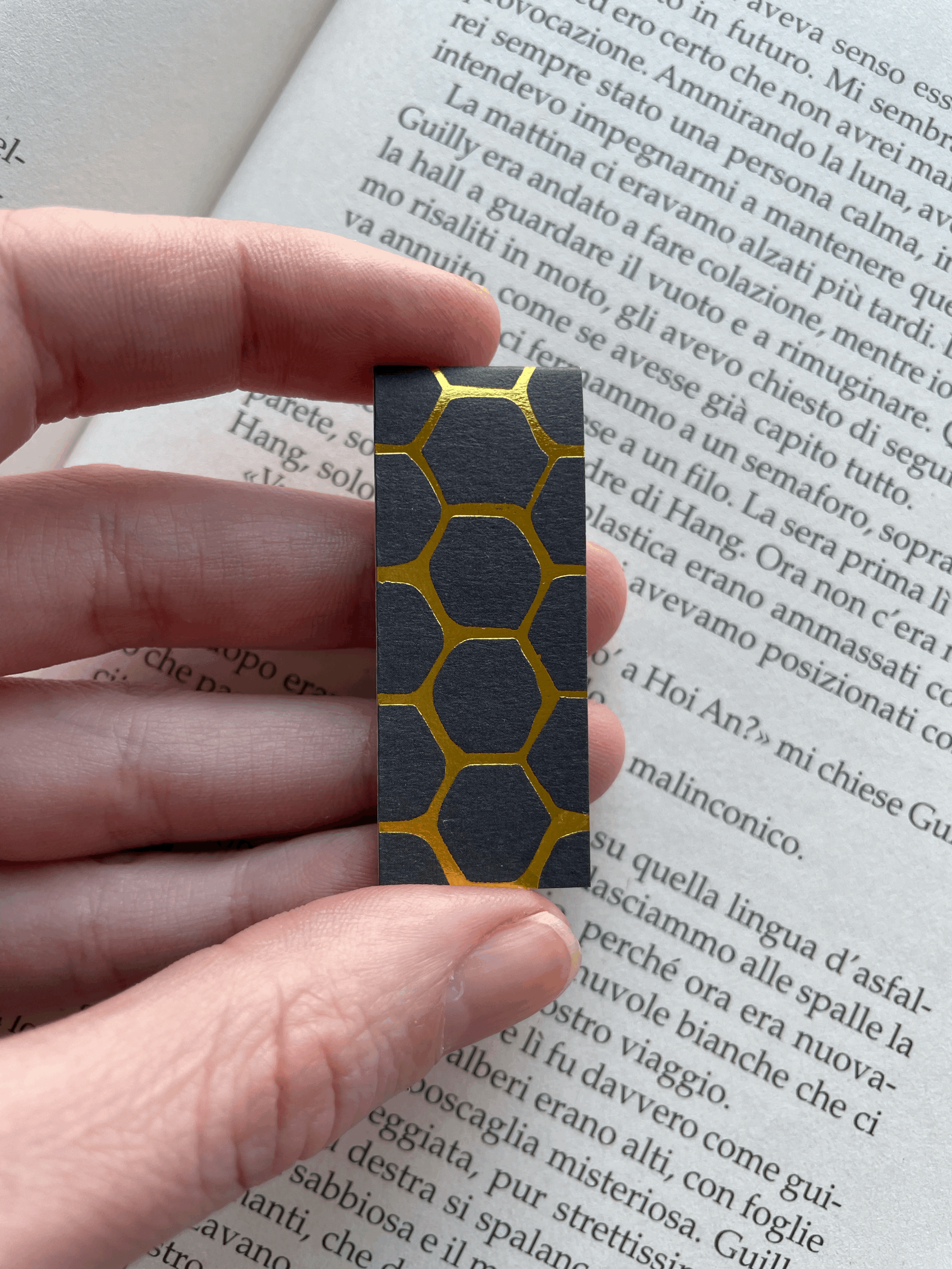 SEGNINO PICCOLO alveare oro 10