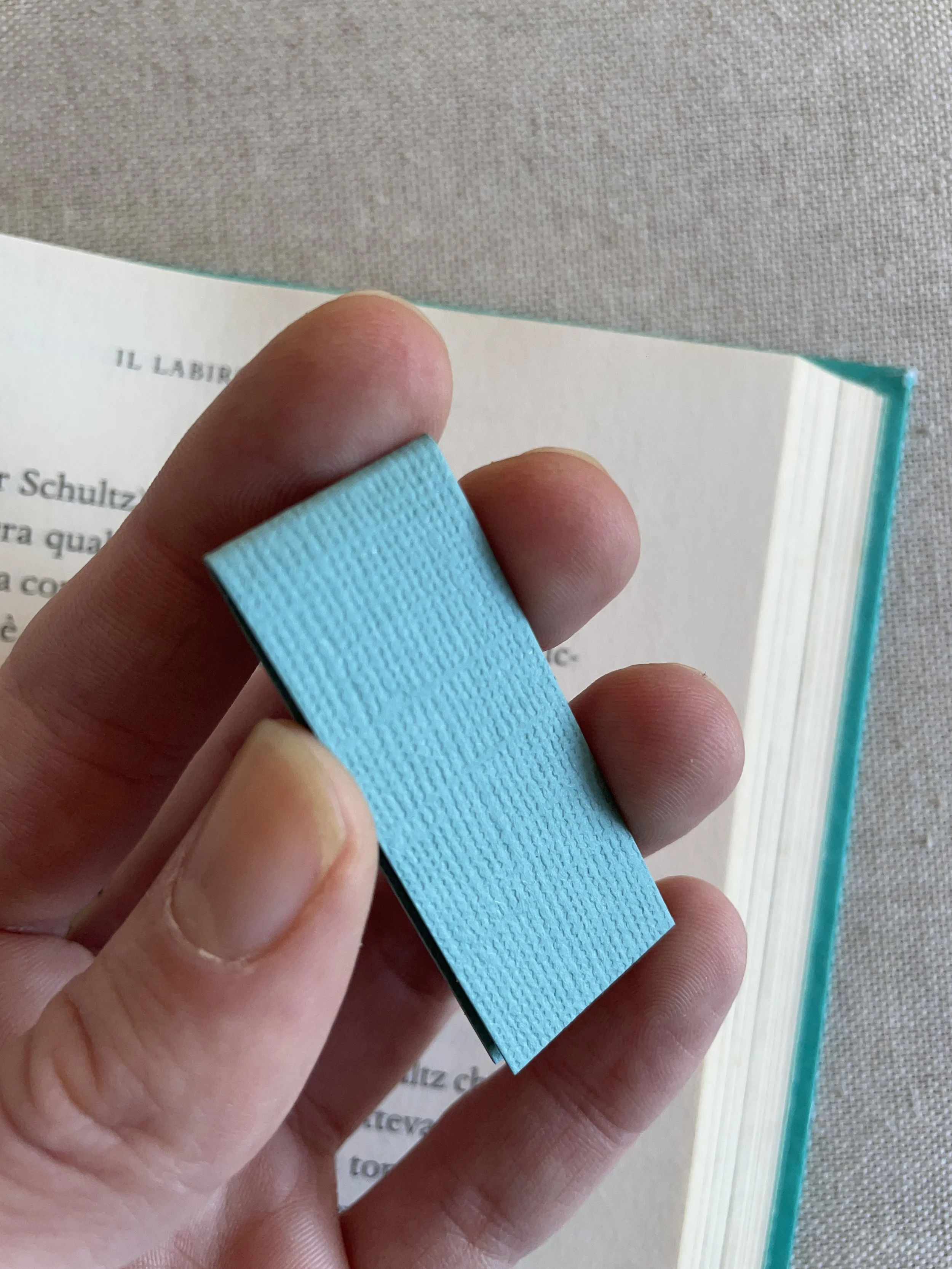 SEGNINO PICCOLO verde acqua