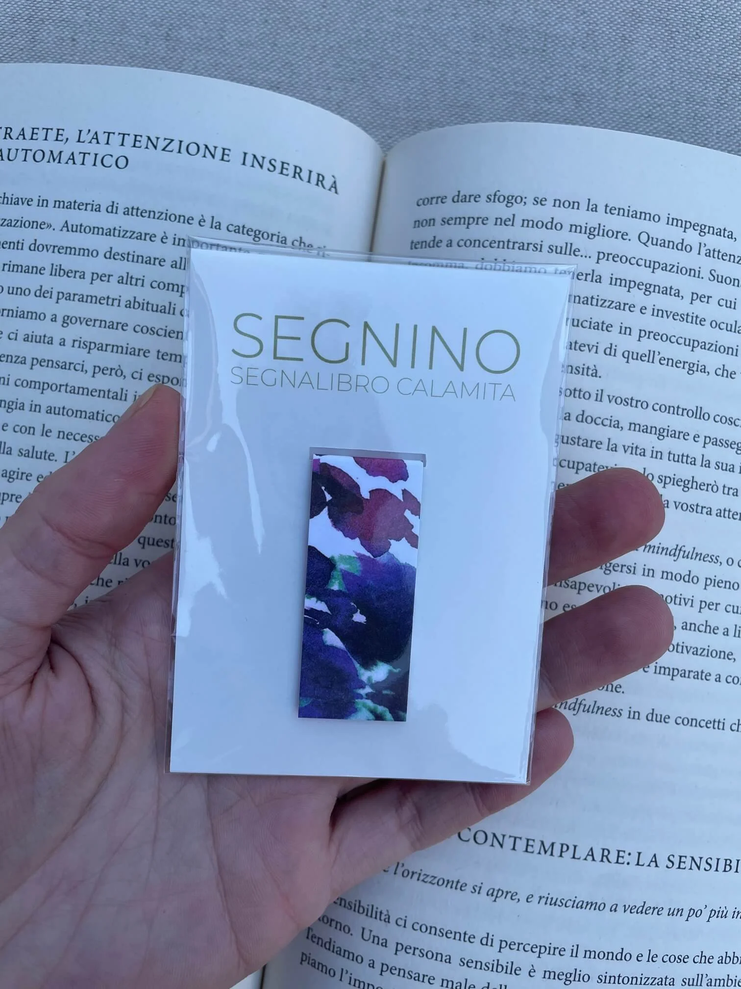 SEGNINO PICCOLO macchie