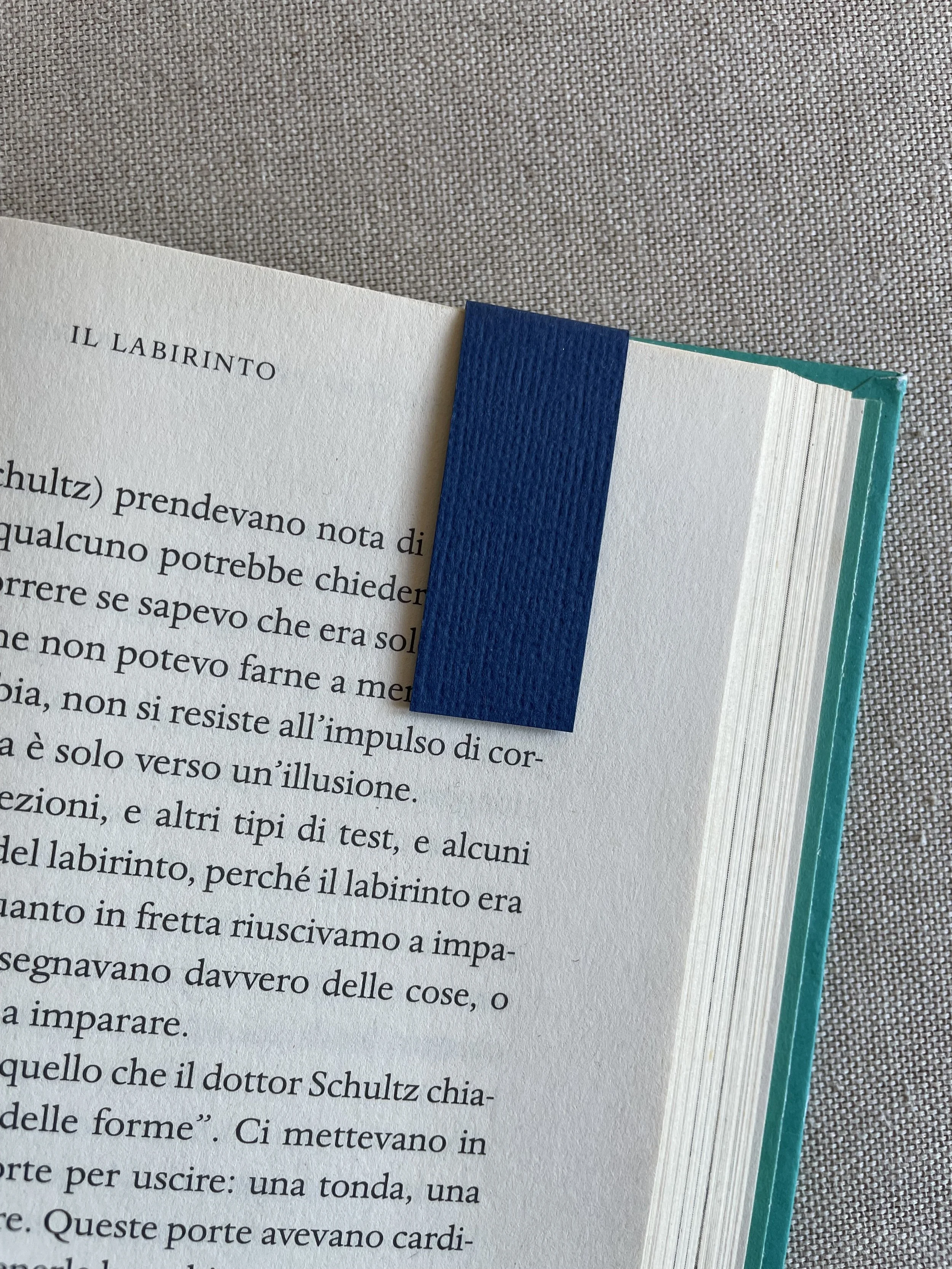 Foto 08-12-25, 11 03 21.jpg