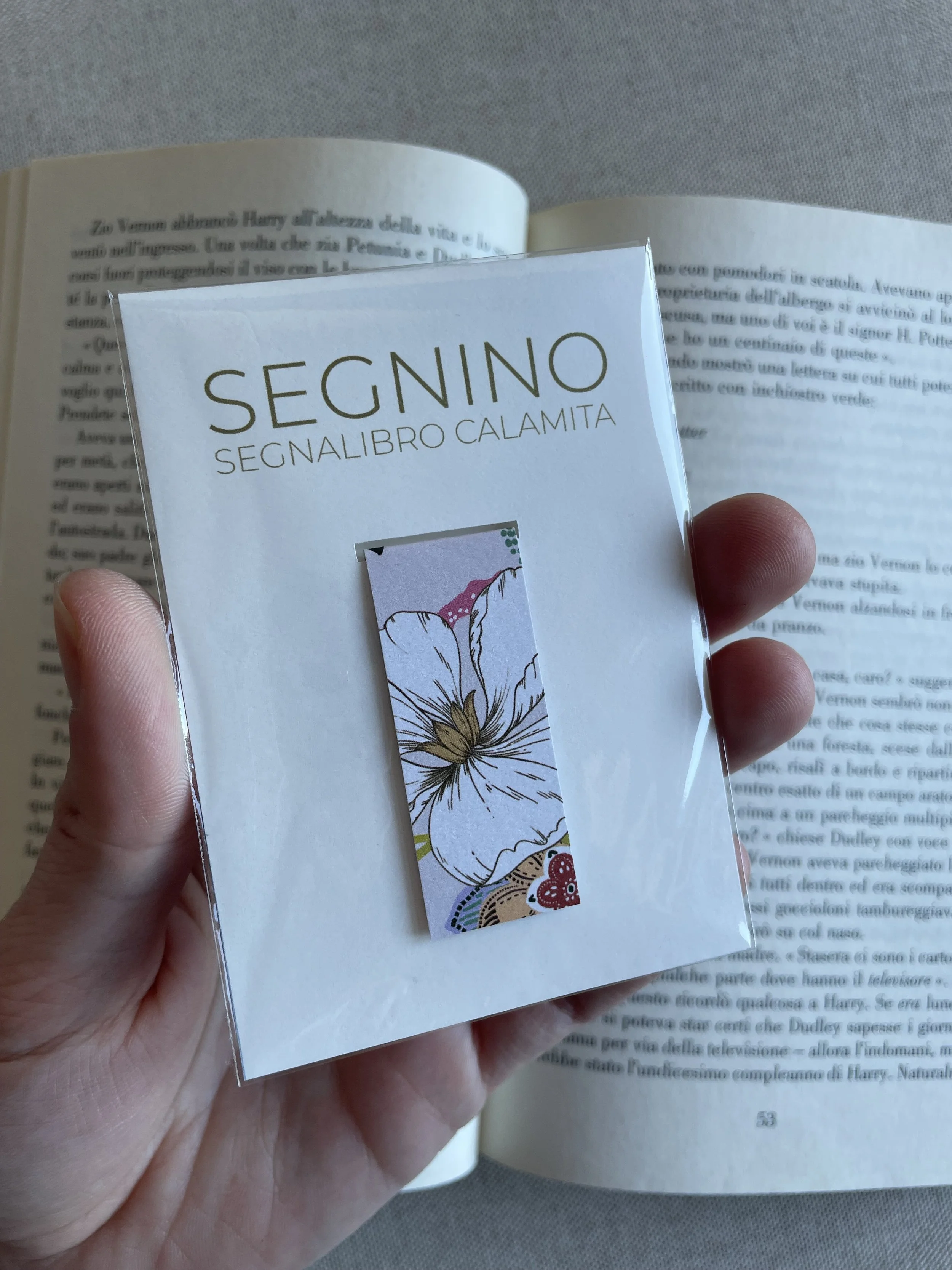 SEGNINO PICCOLO india 3
