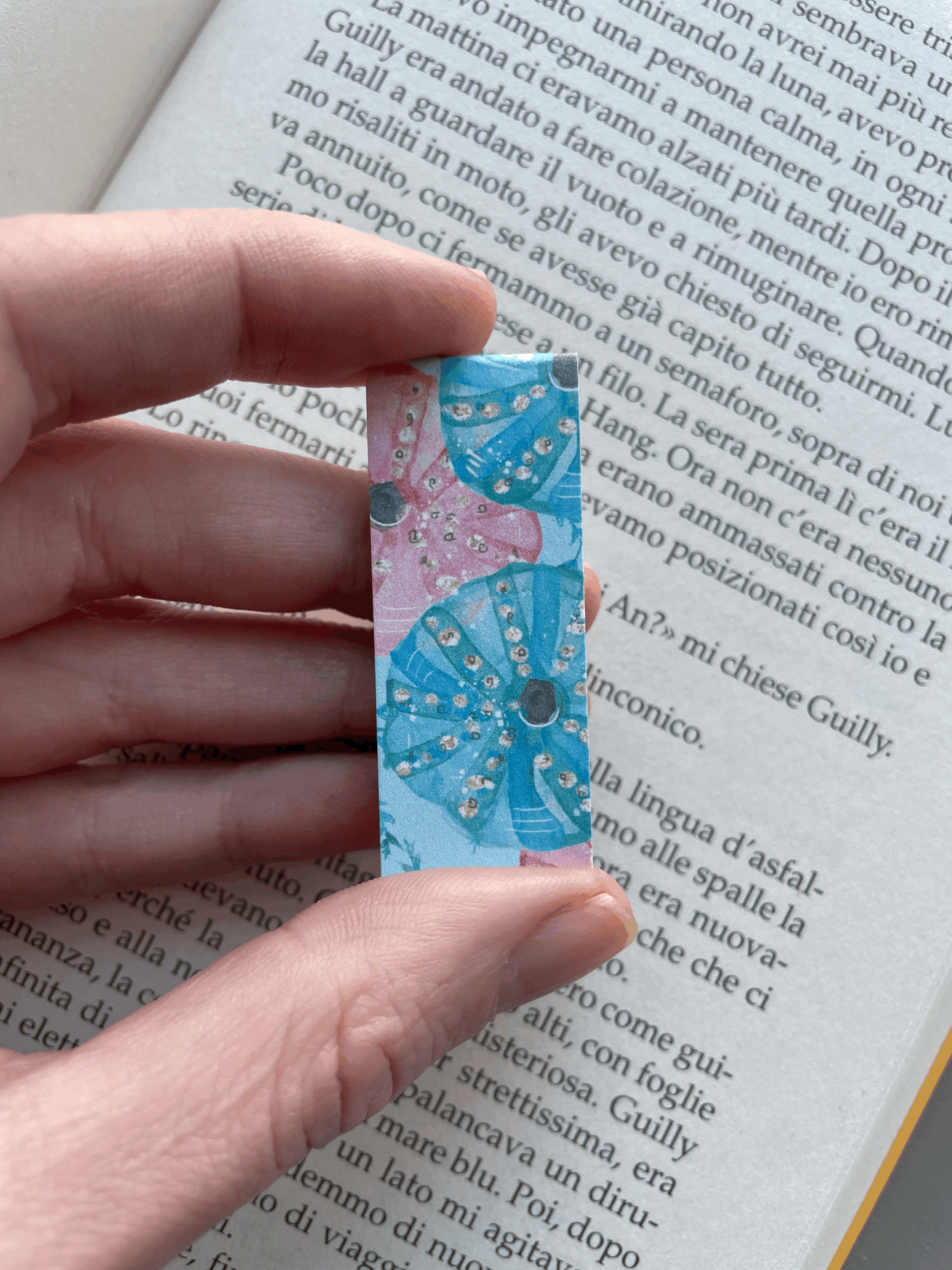 SEGNINO PICCOLO ricci di mare 4