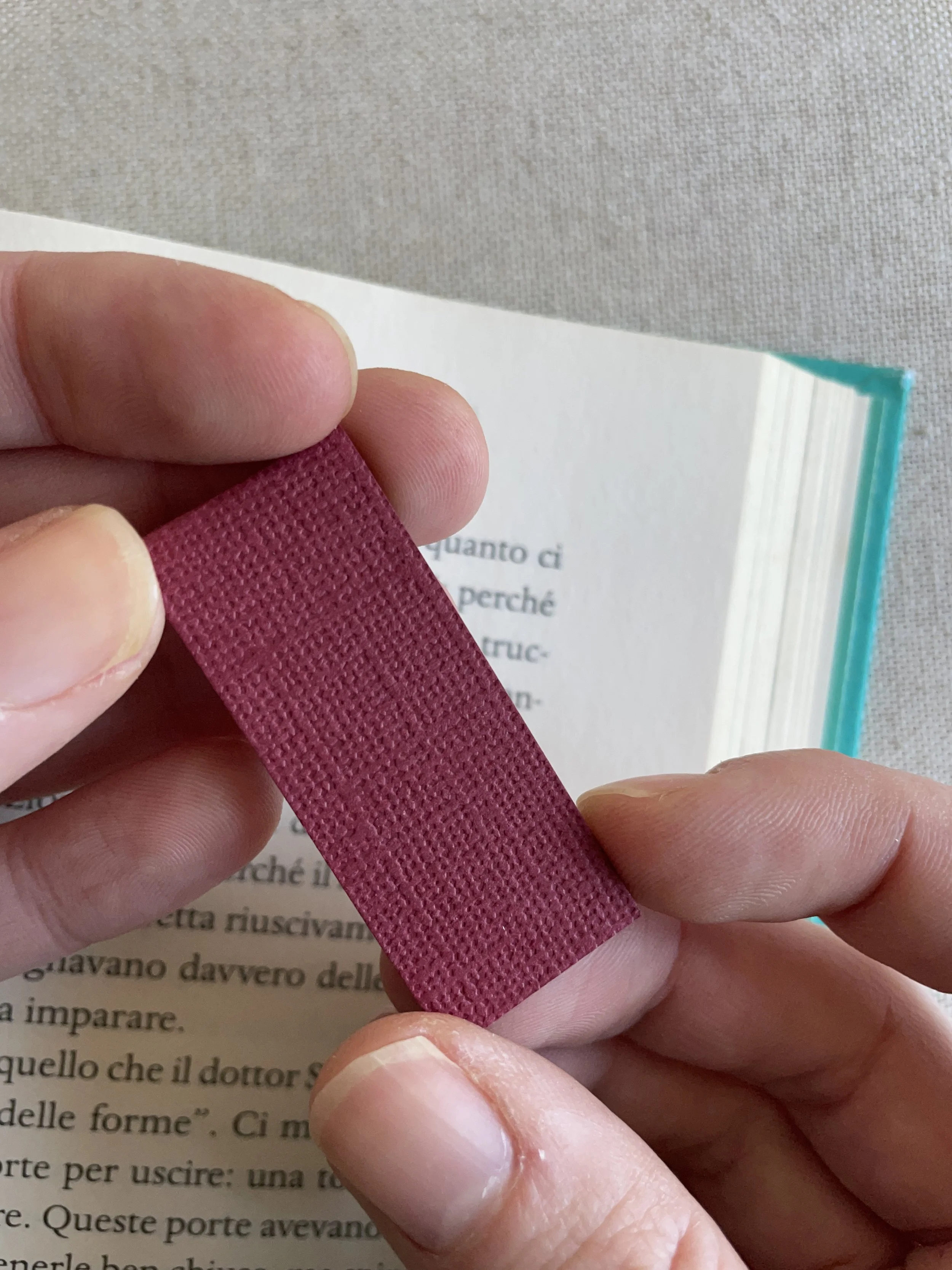 SEGNINO PICCOLO bordeaux