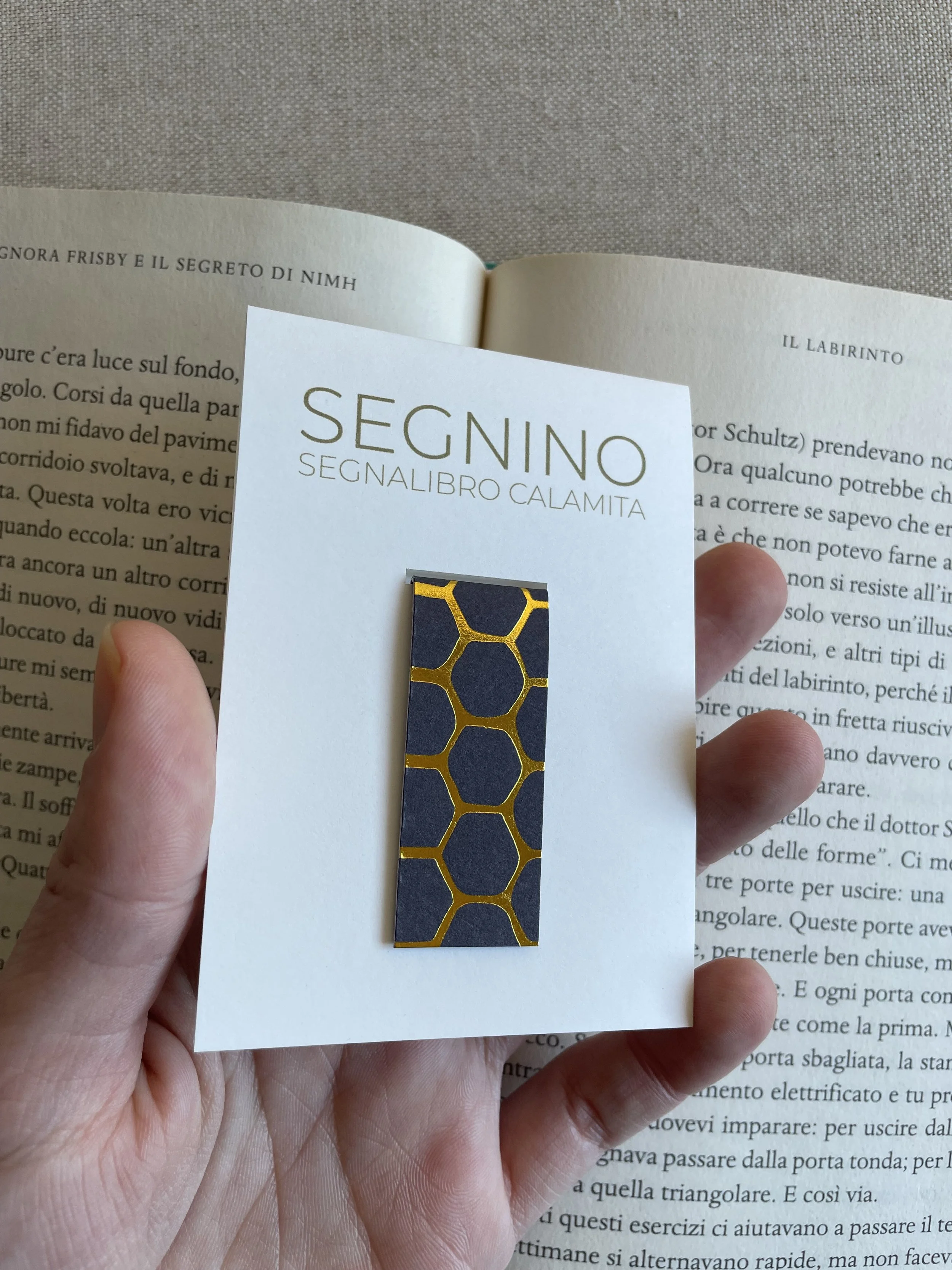 Foto 08-12-25, 11 48 35.jpg