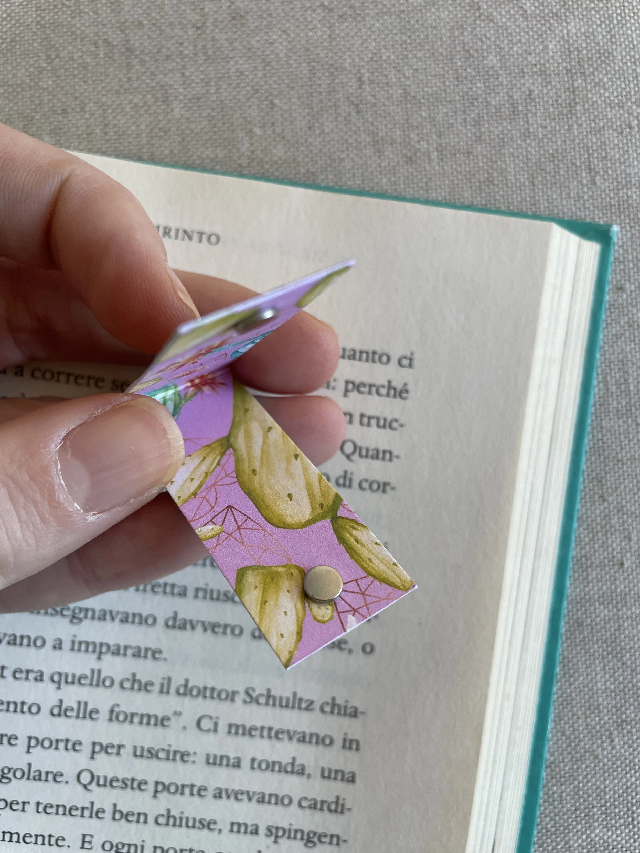 Foto 08-12-25, 11 42 26.jpg