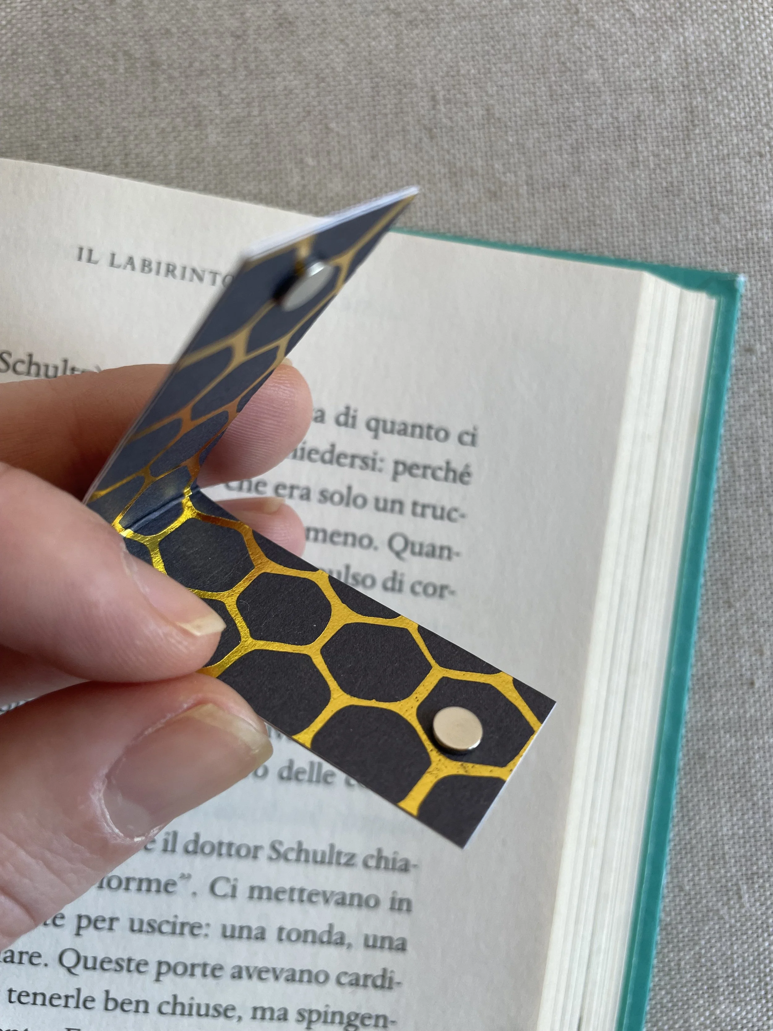 Foto 08-12-25, 11 17 12.jpg