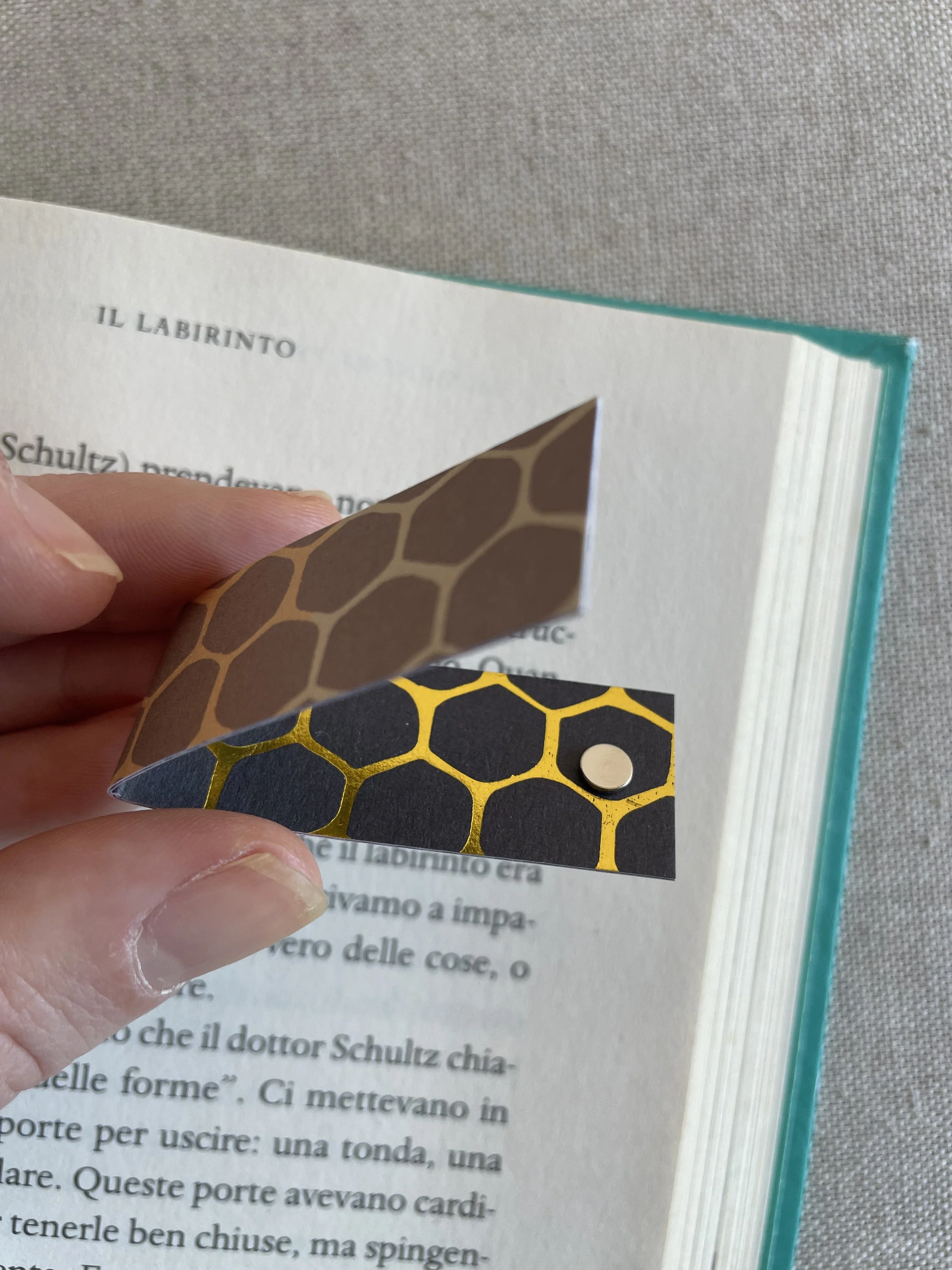 Foto 08-12-25, 11 17 14.jpg