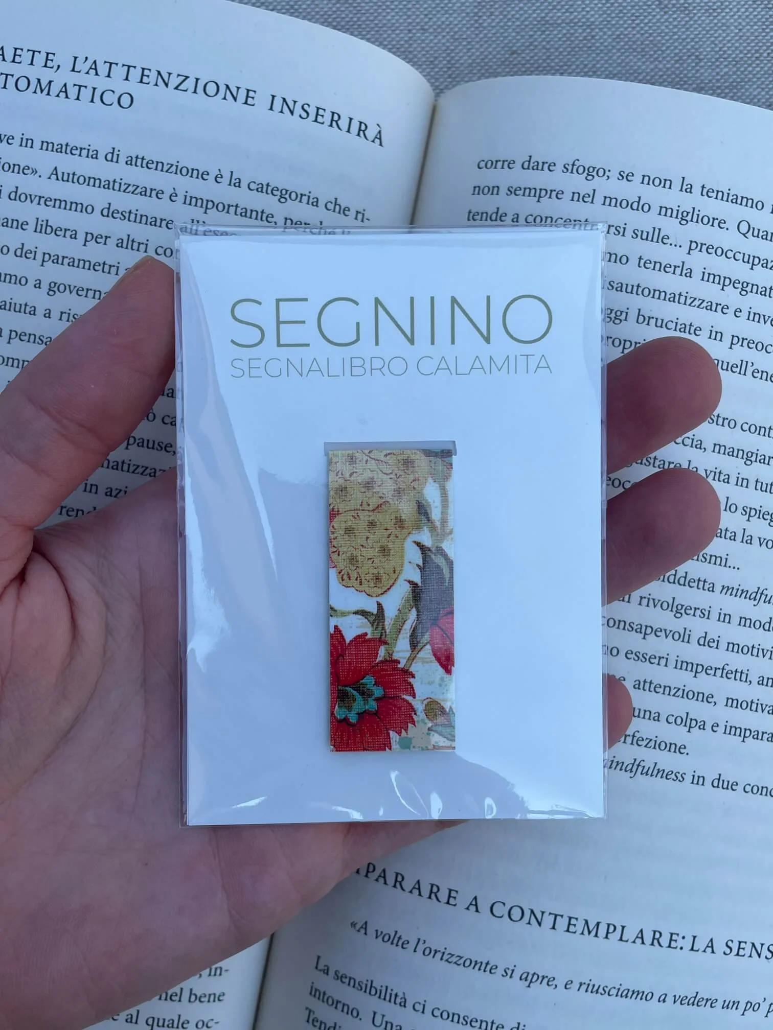 SEGNINO PICCOLO india plastificato