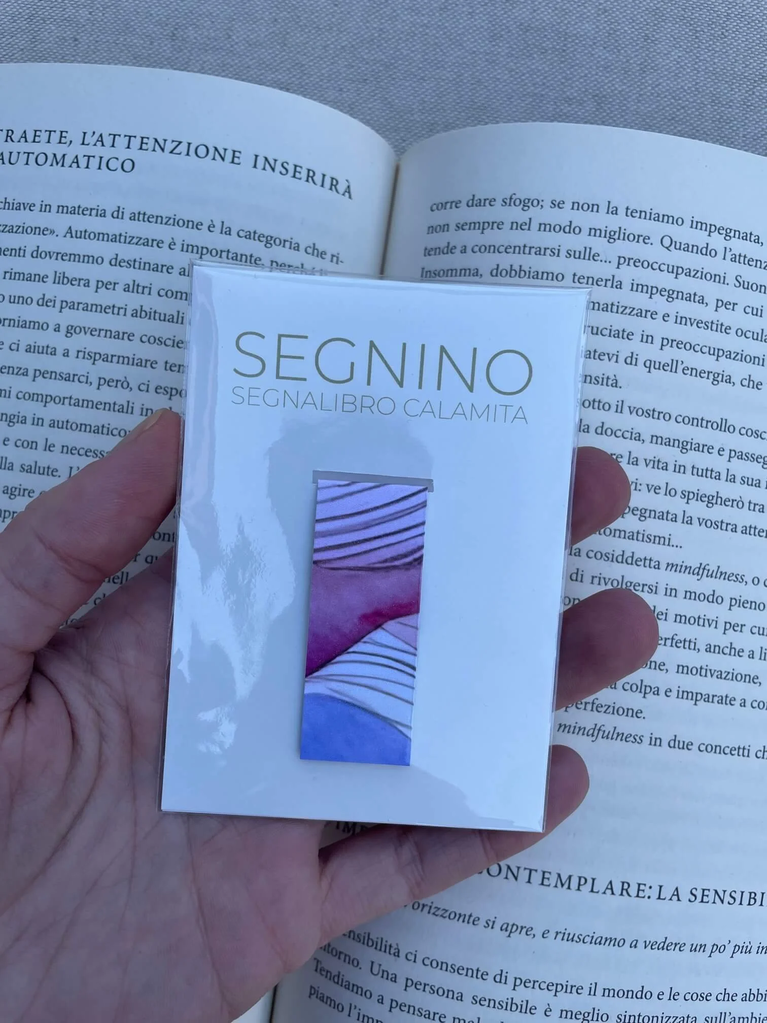 SEGNINO PICCOLO onde