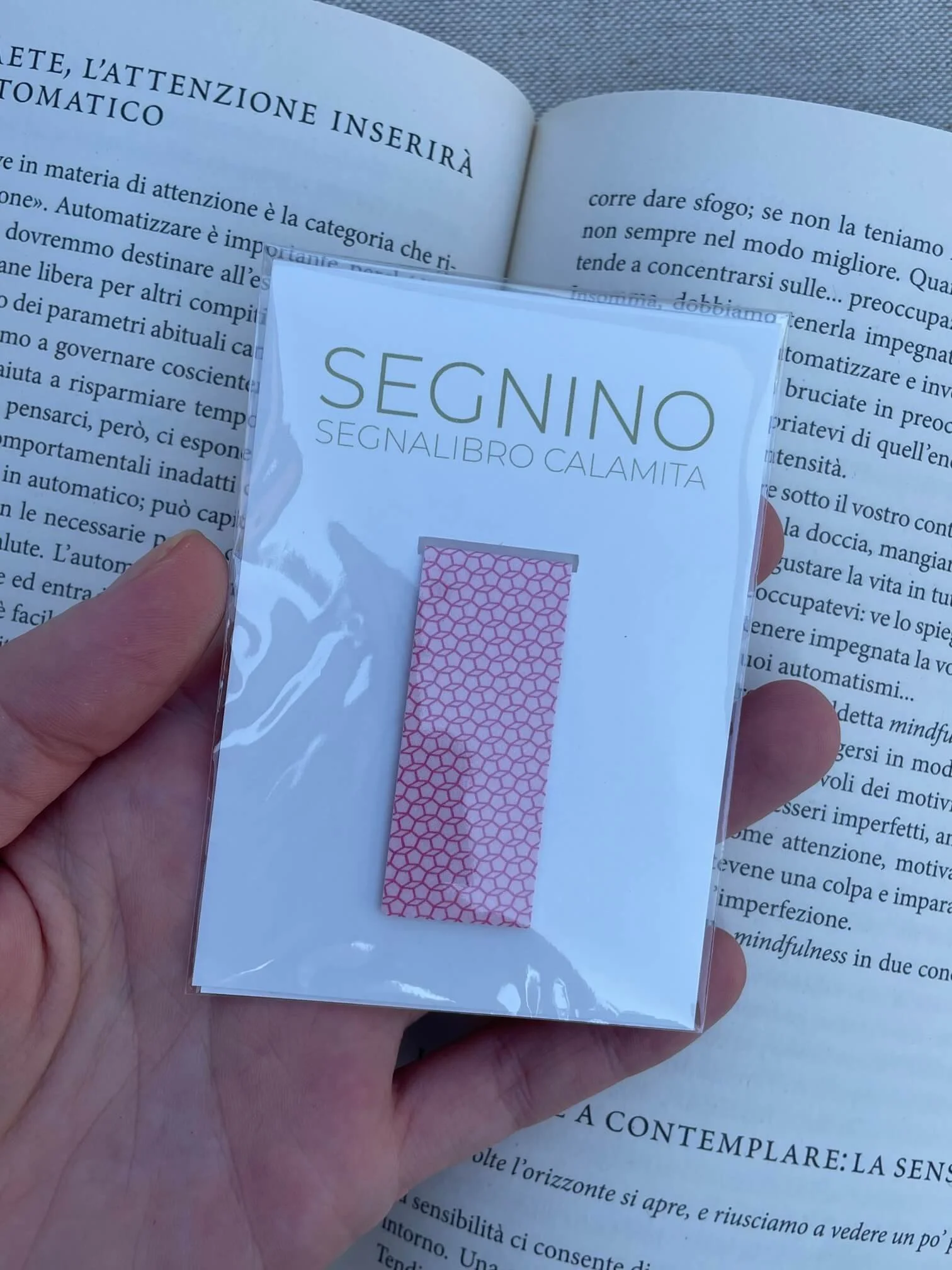 SEGNINO PICCOLO rosato