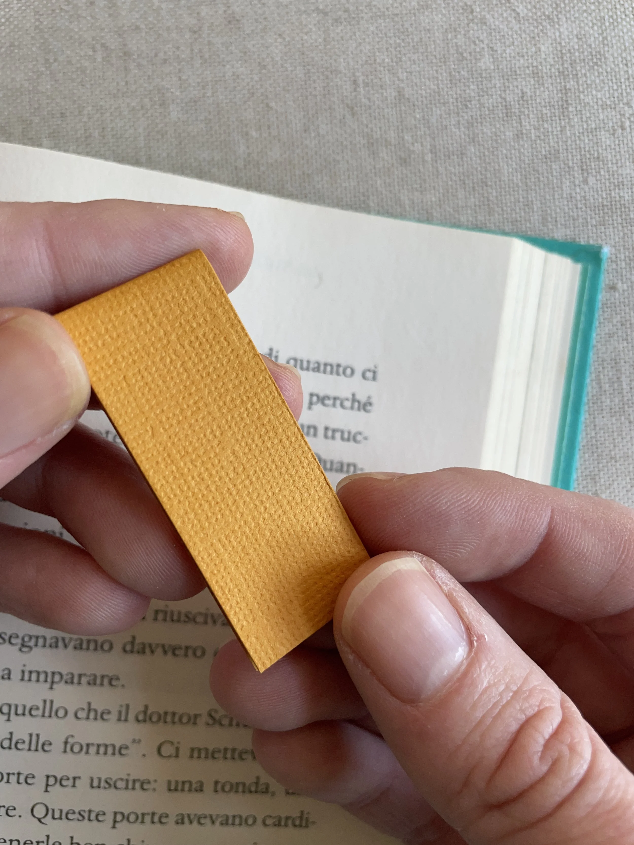 SEGNINO PICCOLO mango