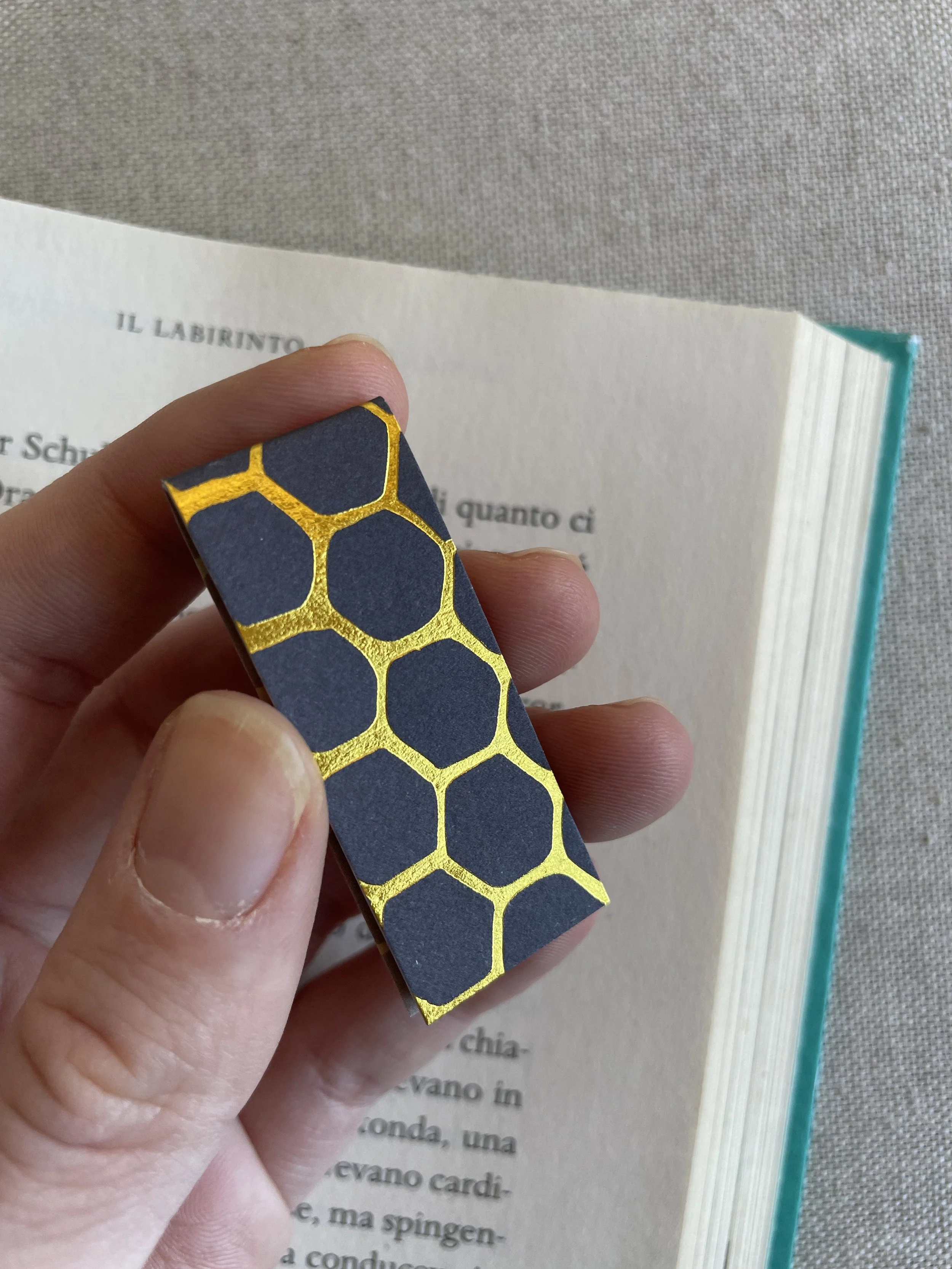 SEGNINO PICCOLO alveare 2