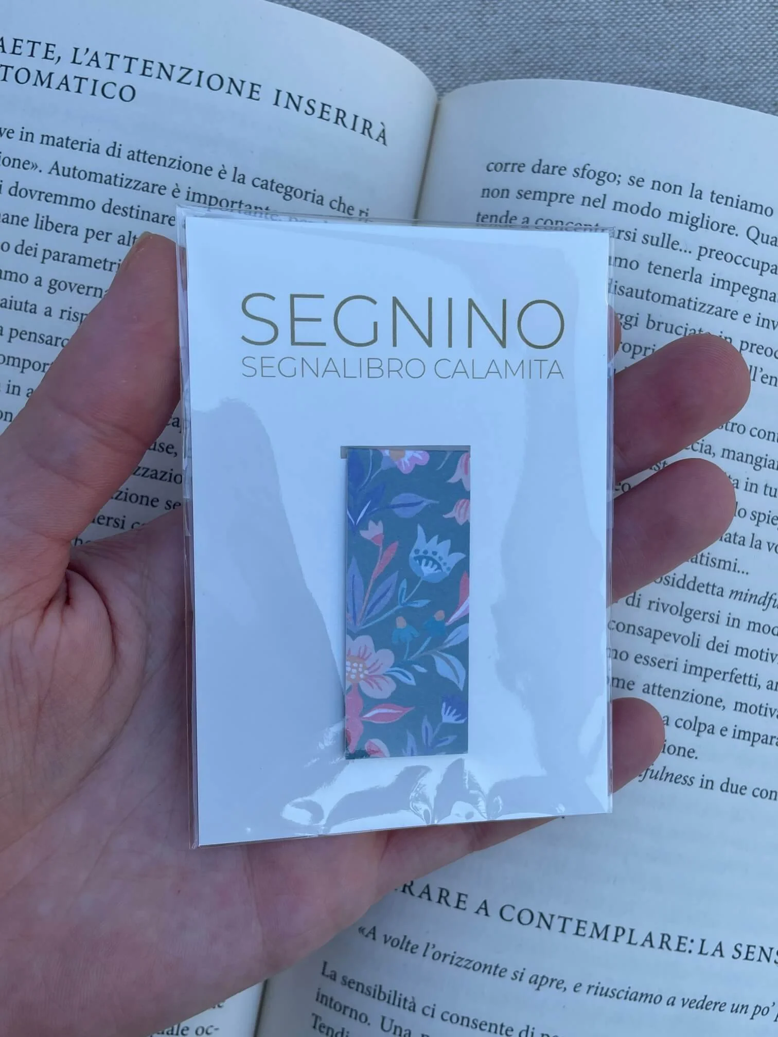 SEGNINO PICCOLO elegante
