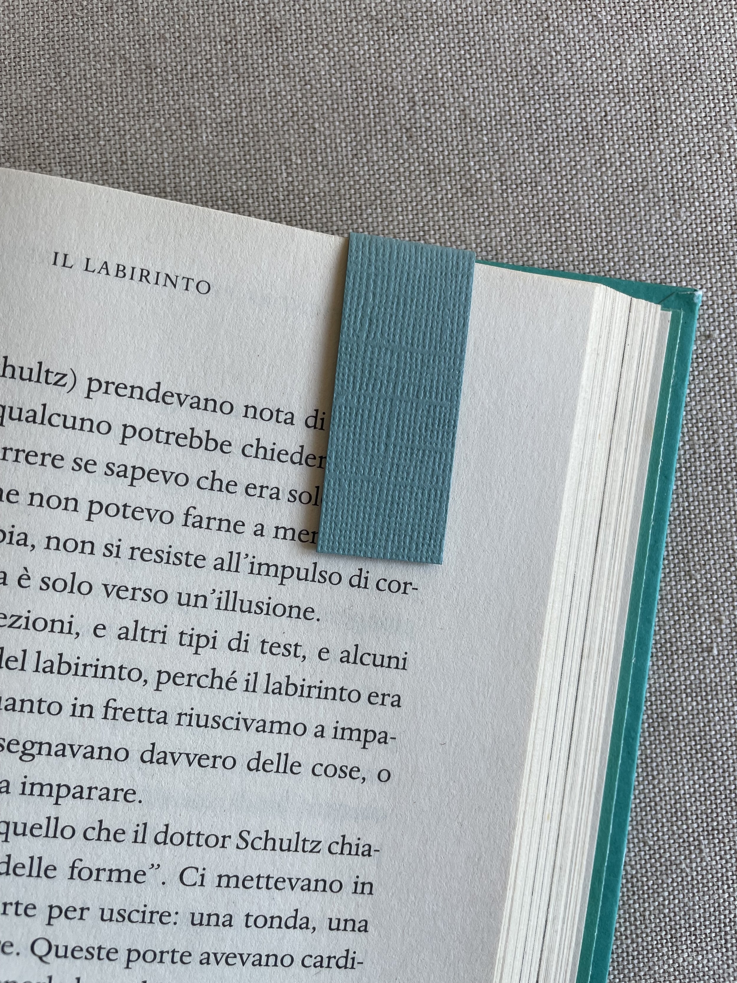 Foto 08-12-25, 11 02 56.jpg