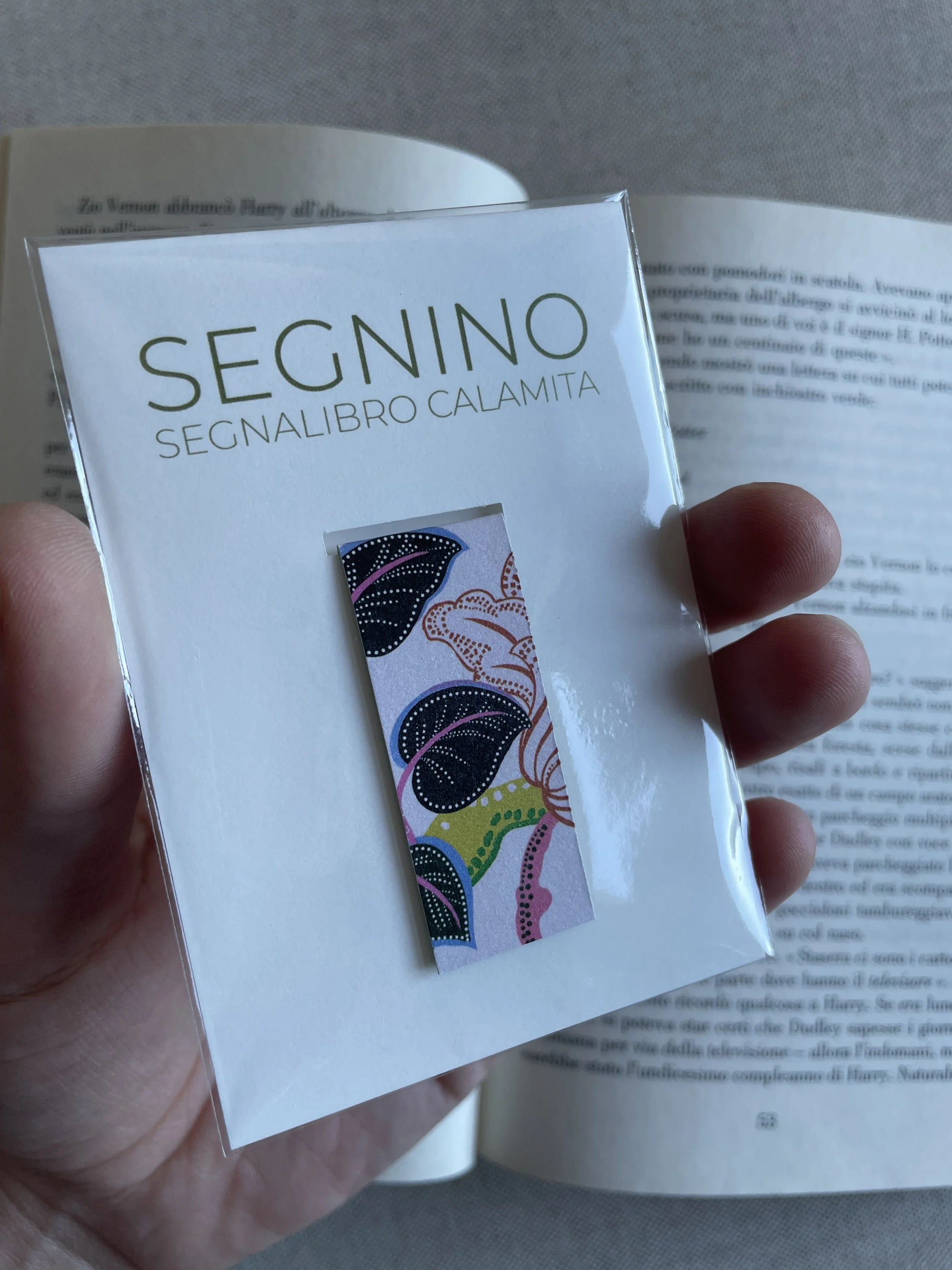 SEGNINO PICCOLO india