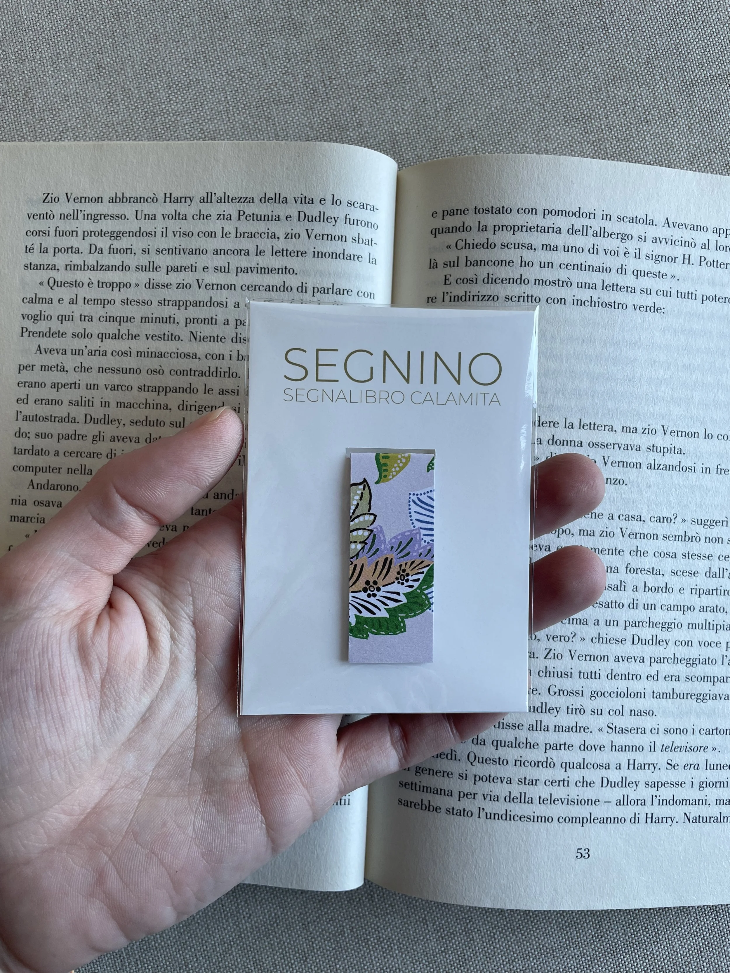 SEGNINO PICCOLO india 4