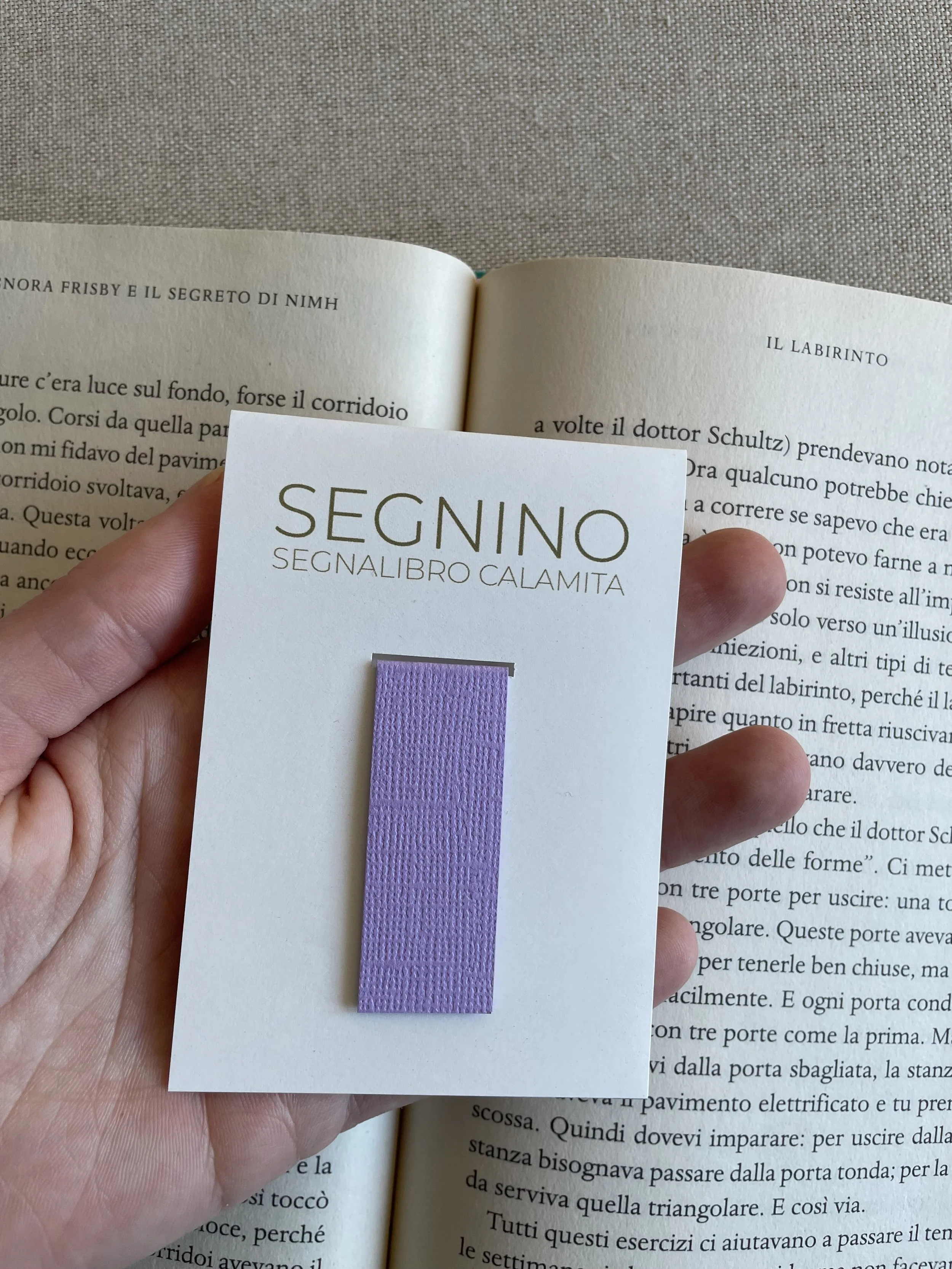 Foto 08-12-25, 12 14 38.jpg