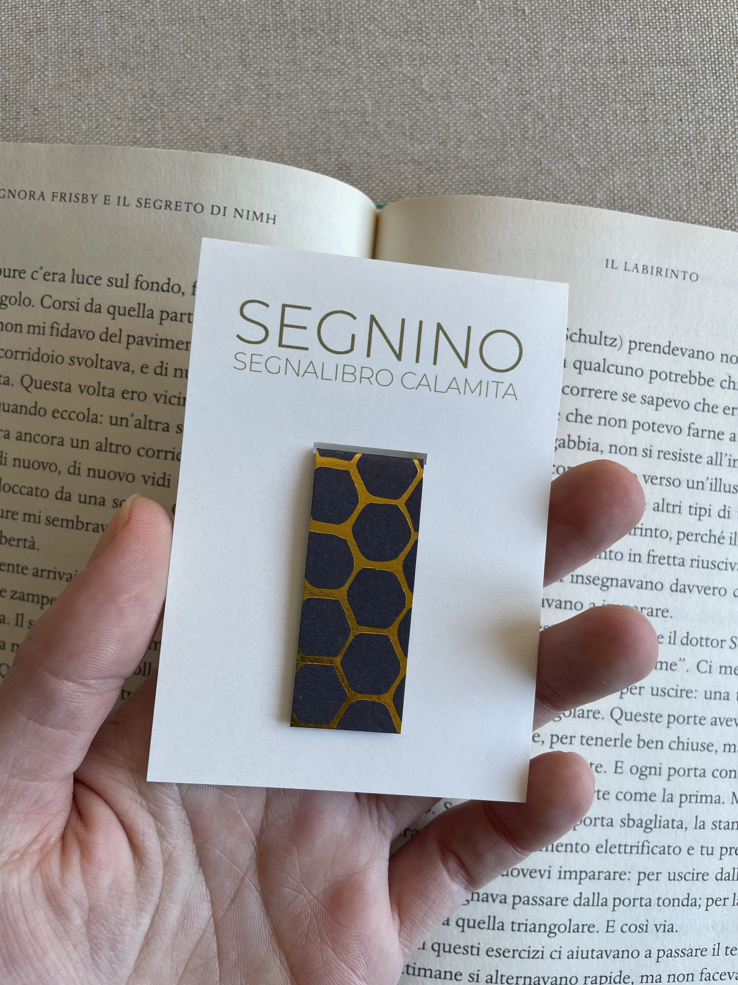 Foto 08-12-25, 11 48 53.jpg