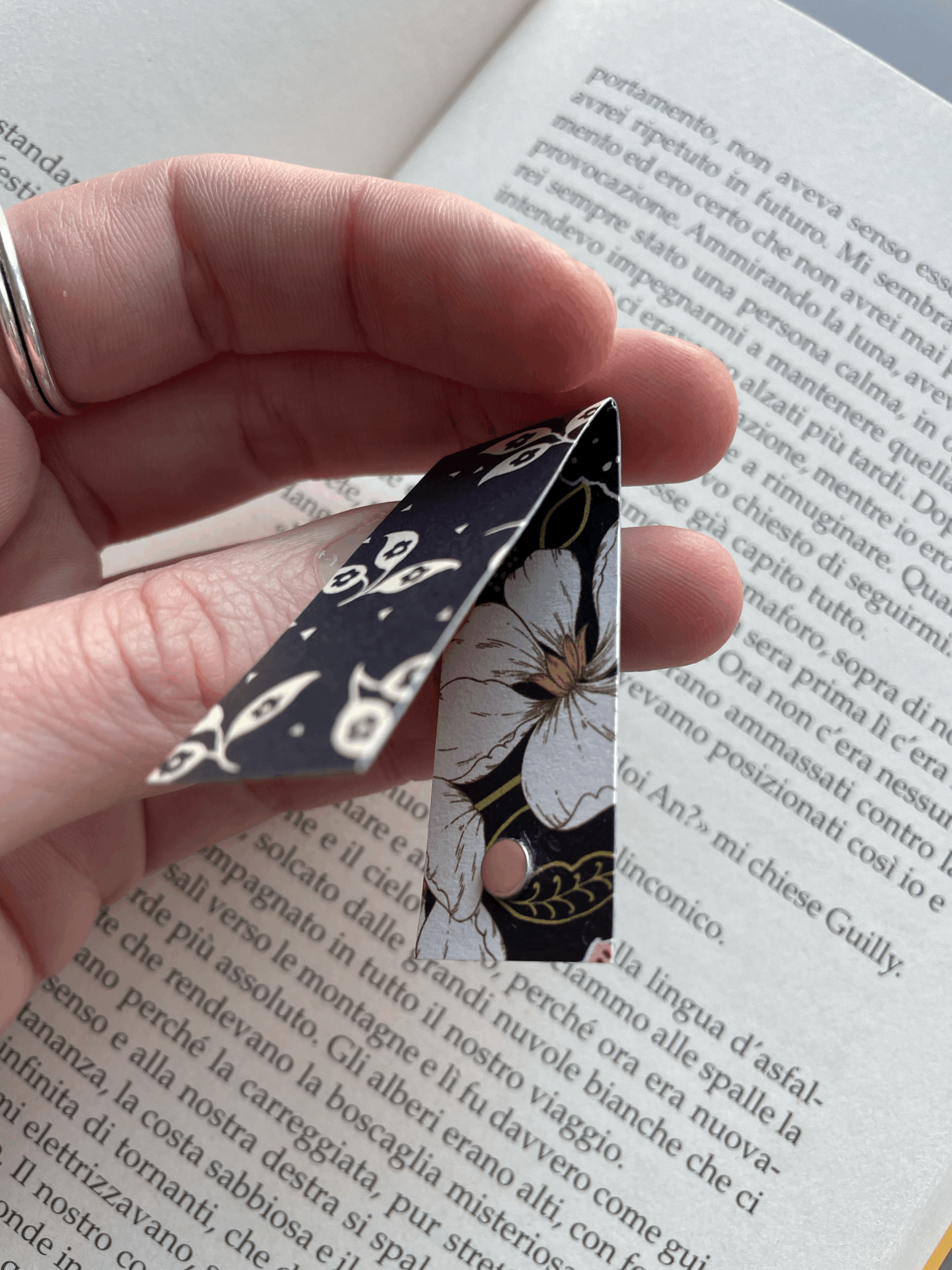 SEGNINO PICCOLO scuro 4