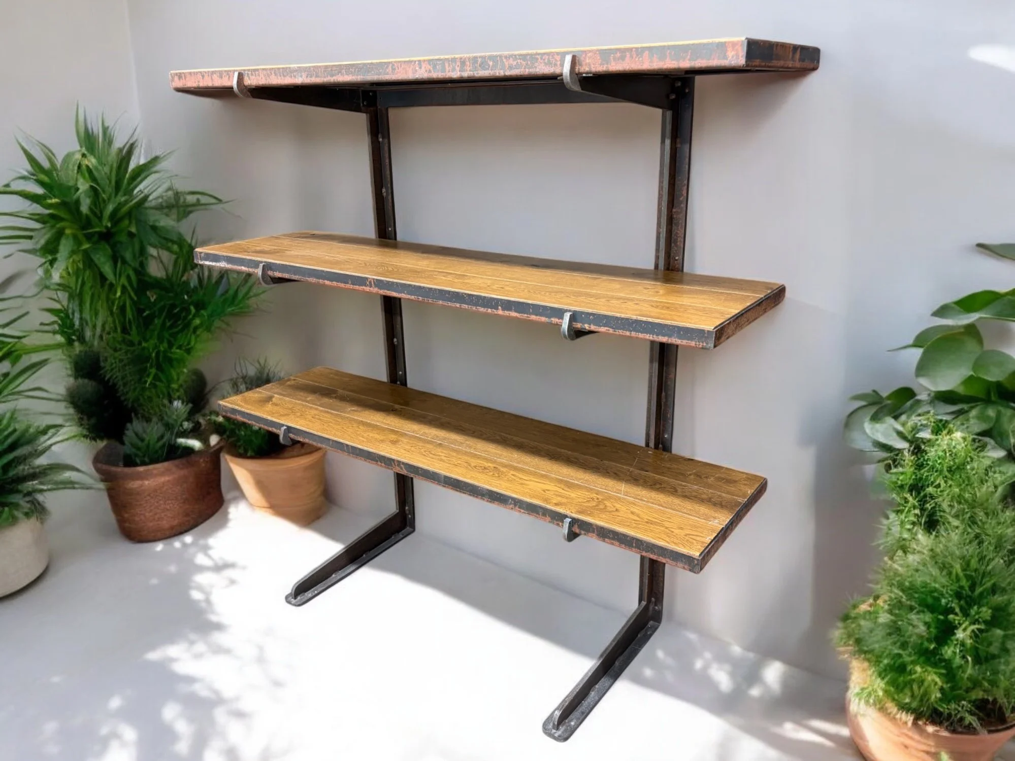 Shelves_1-Photoroom.jpg