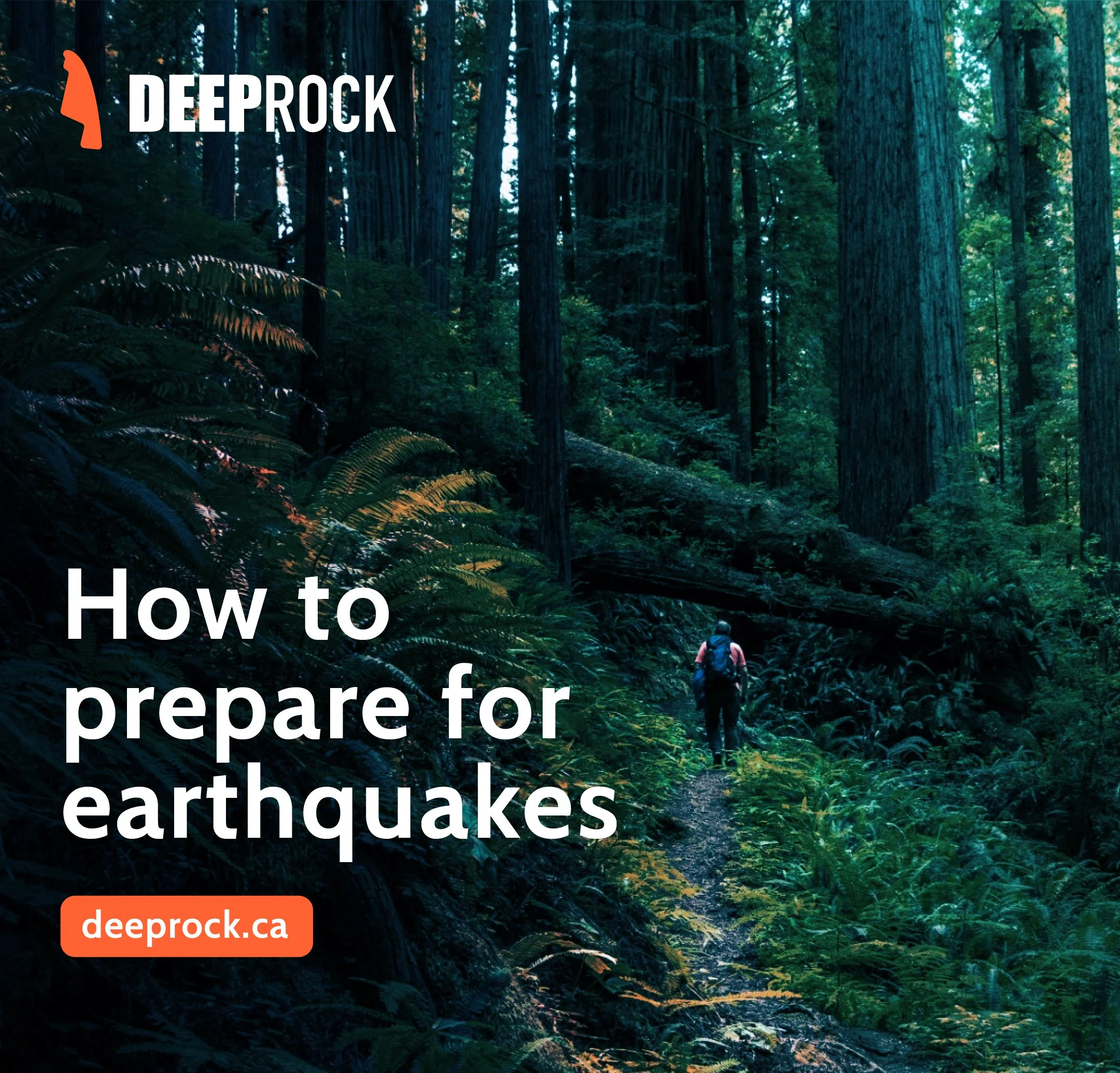 DeepRock-1-16.jpg