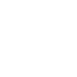 Magnifying glass icon