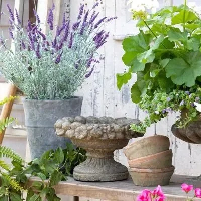 FRUITFUL FOOTED GARDEN BOWL