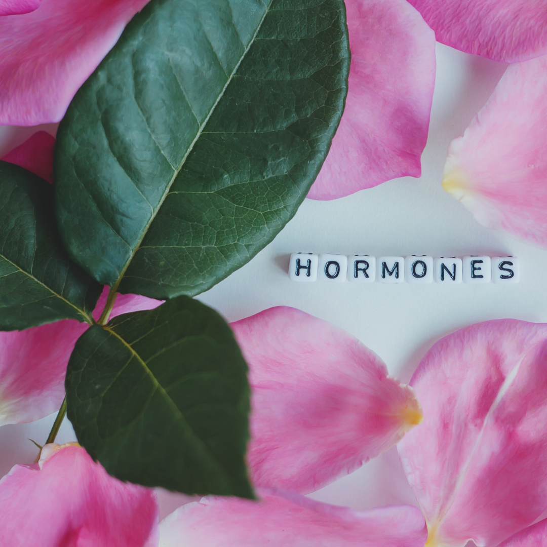 MENOPAUSE &amp; BALANCING HORMONES: A FUNCTIONAL MEDICINE APPROACH (PART 1)