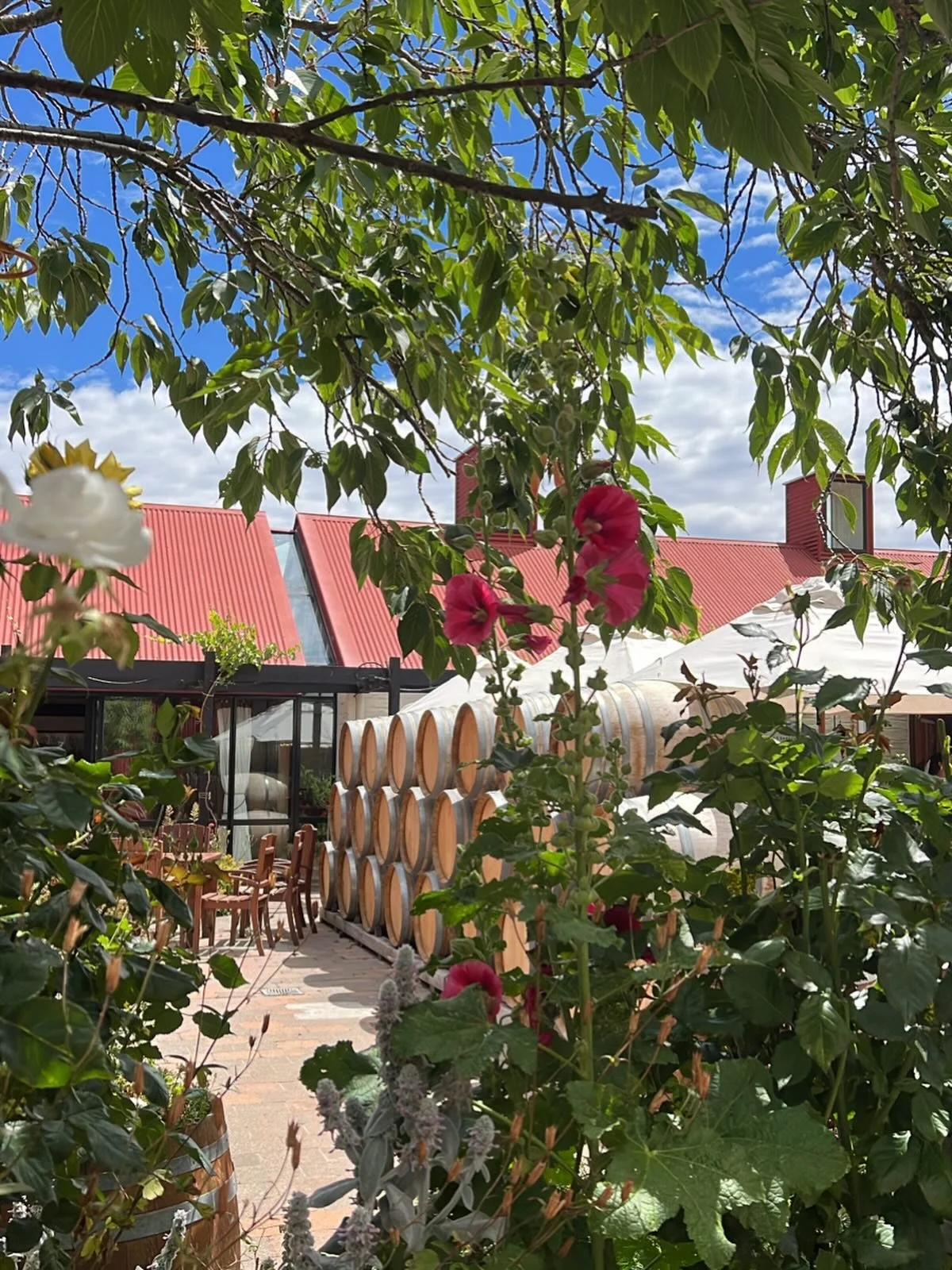 🌺🍷☀️

#travel #luxurytravel #travelers #travelagent #travelguide #seetheworld #ilovetravel #travelmore #queenstown #newzealand