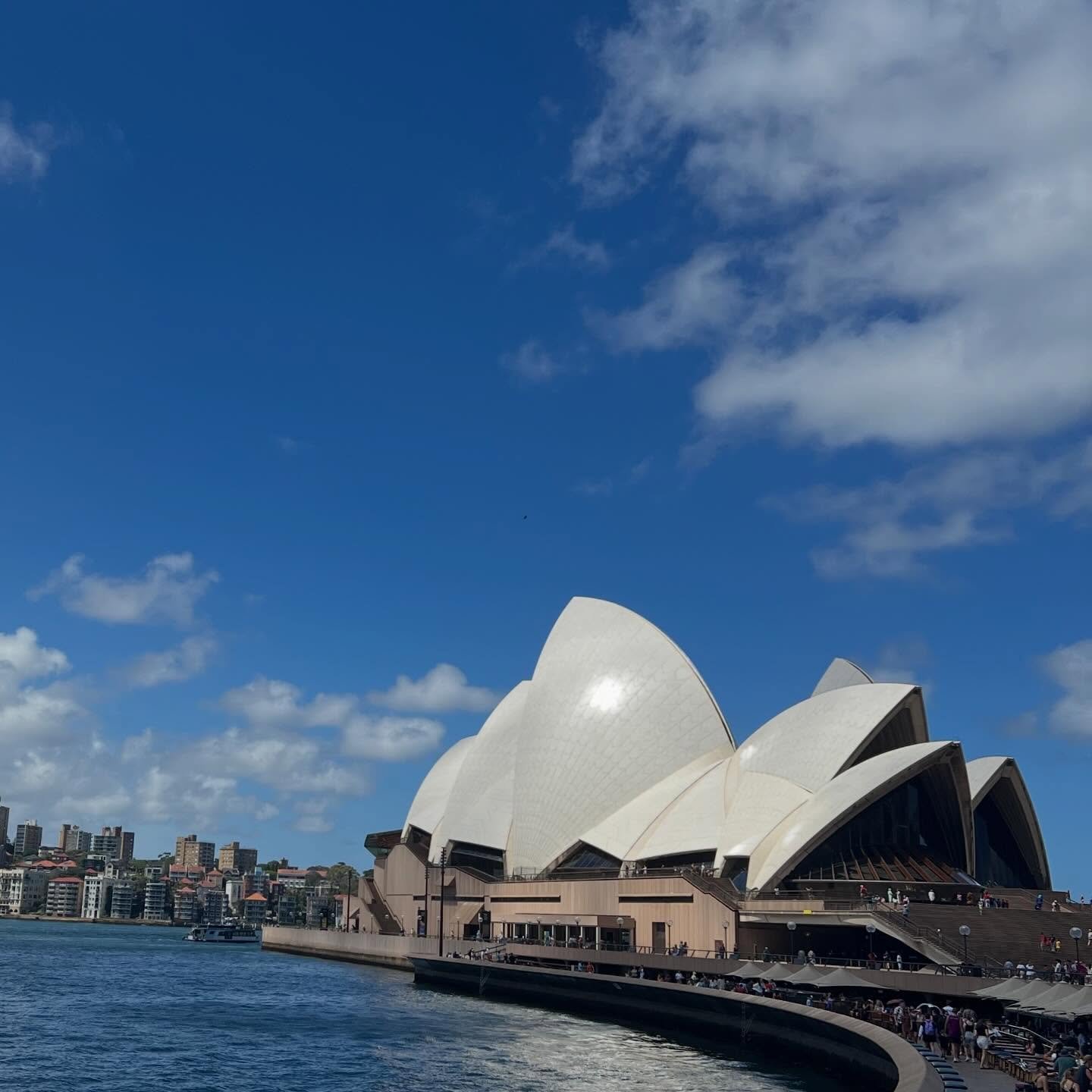 🇦🇺🐨☀️🦘

#travel #luxurytravel #travelers #travelagent #travelguide #seetheworld #ilovetravel #travelmore #sydney #australia