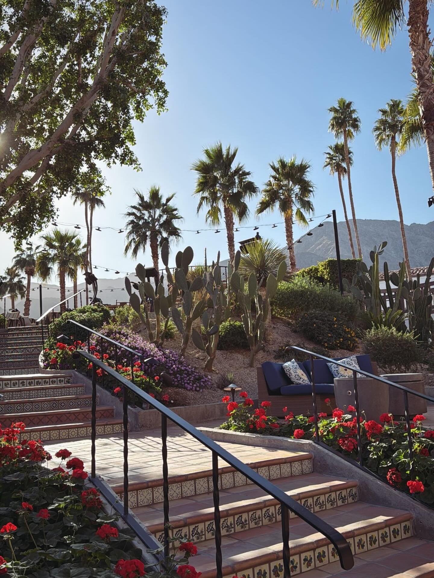 🌴🌴🌴

#travel #luxurytravel #travelers #travelagent #travelguide #seetheworld #ilovetravel #travelmore #palmspringslife