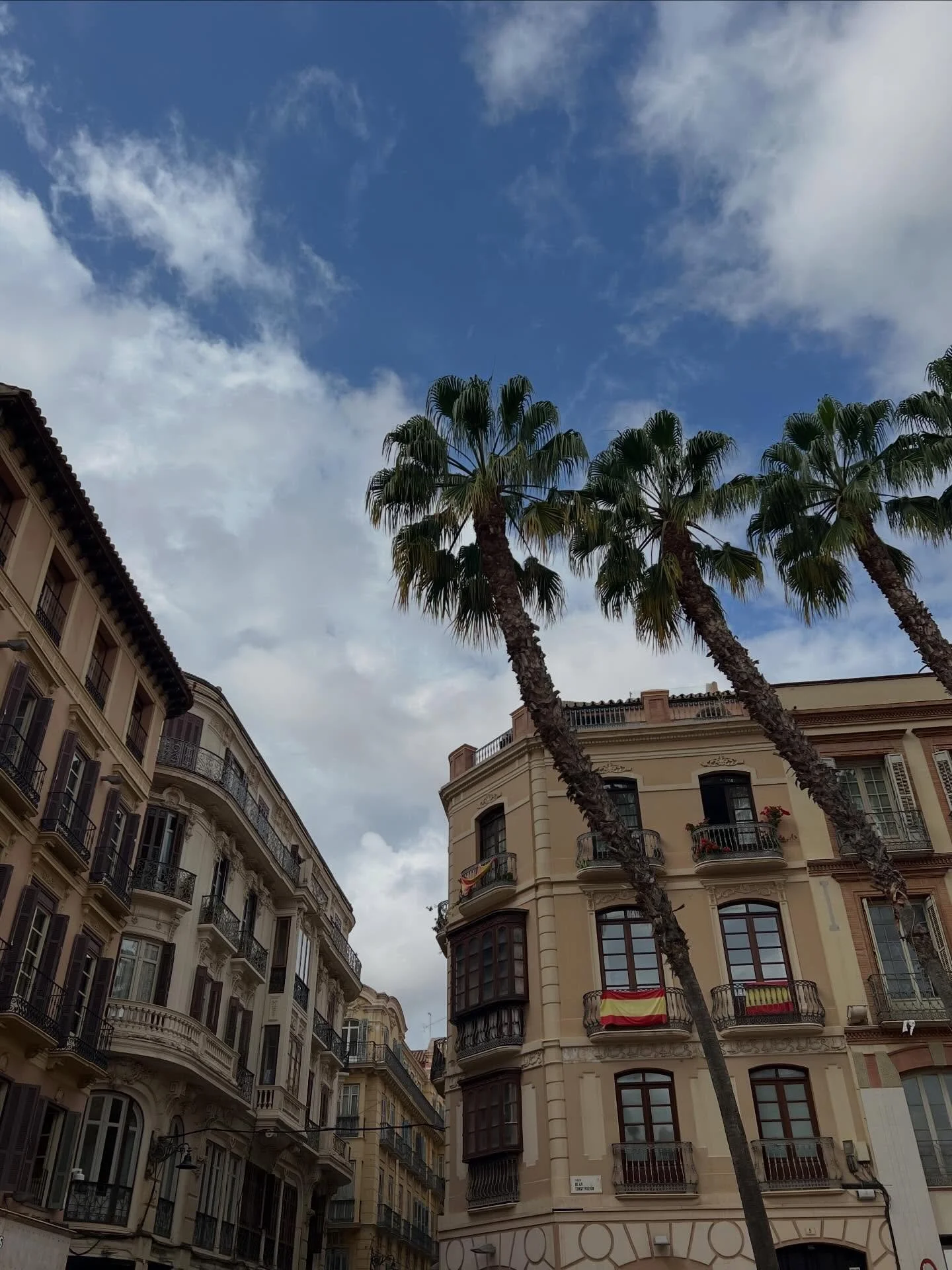 🎨

#travel #luxurytravel #travelers #travelagent #travelguide #seetheworld #ilovetravel #travelmore #malaga #spain