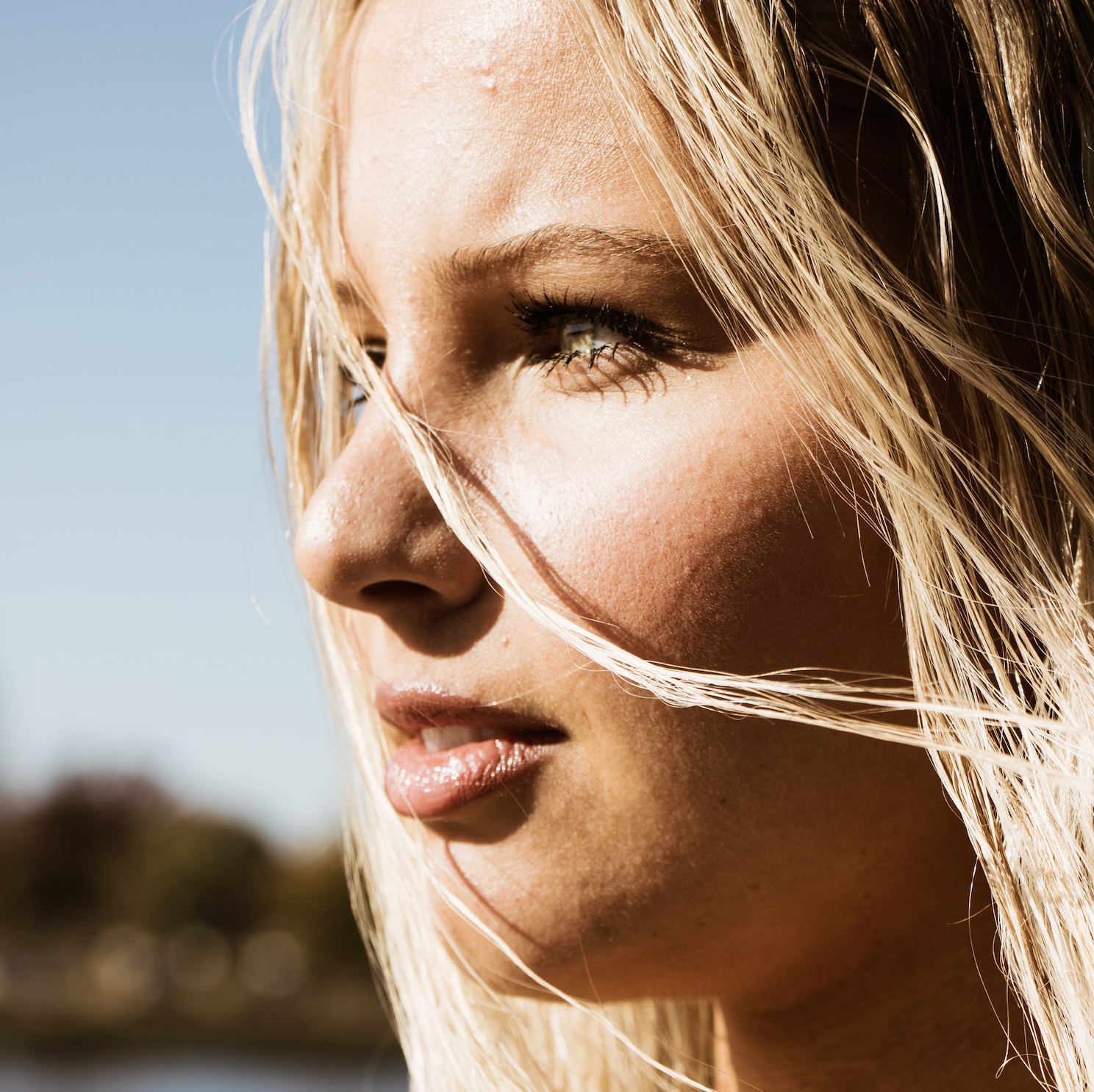 Screenshot 2026-01-11 at 11.32.46 AM.png