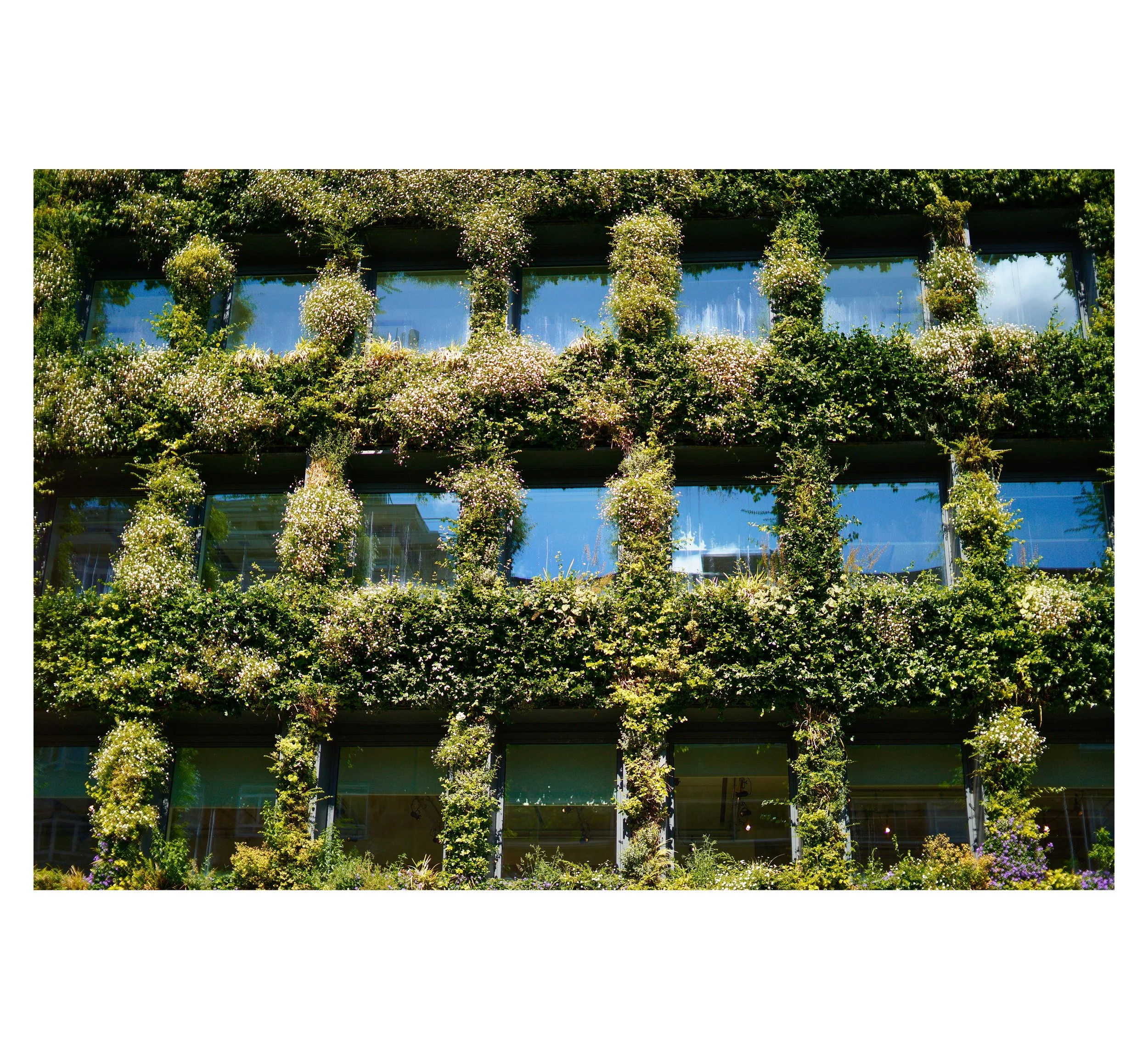 Gebäude mit vertikaler Begrünung und Wänden aus Pflanzen und Blumen vor großen Fenstern.