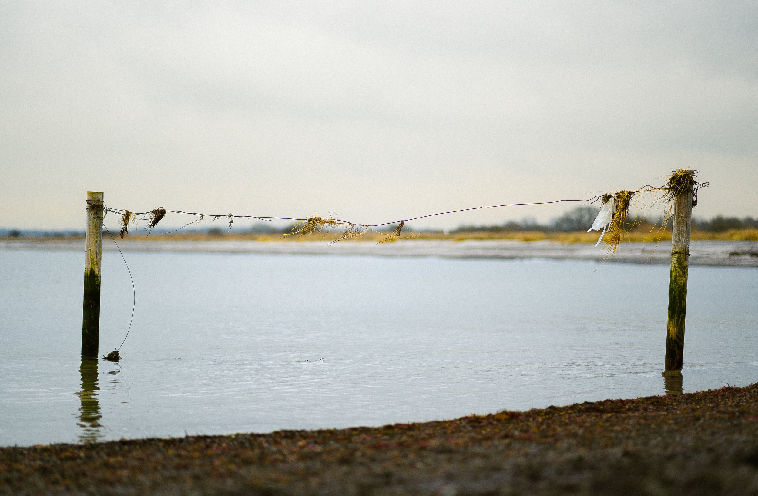 Verrostete Holzpfähle im Wasser mit zerfetztem Netz, unter einem grauen Himmel, an einer Küste