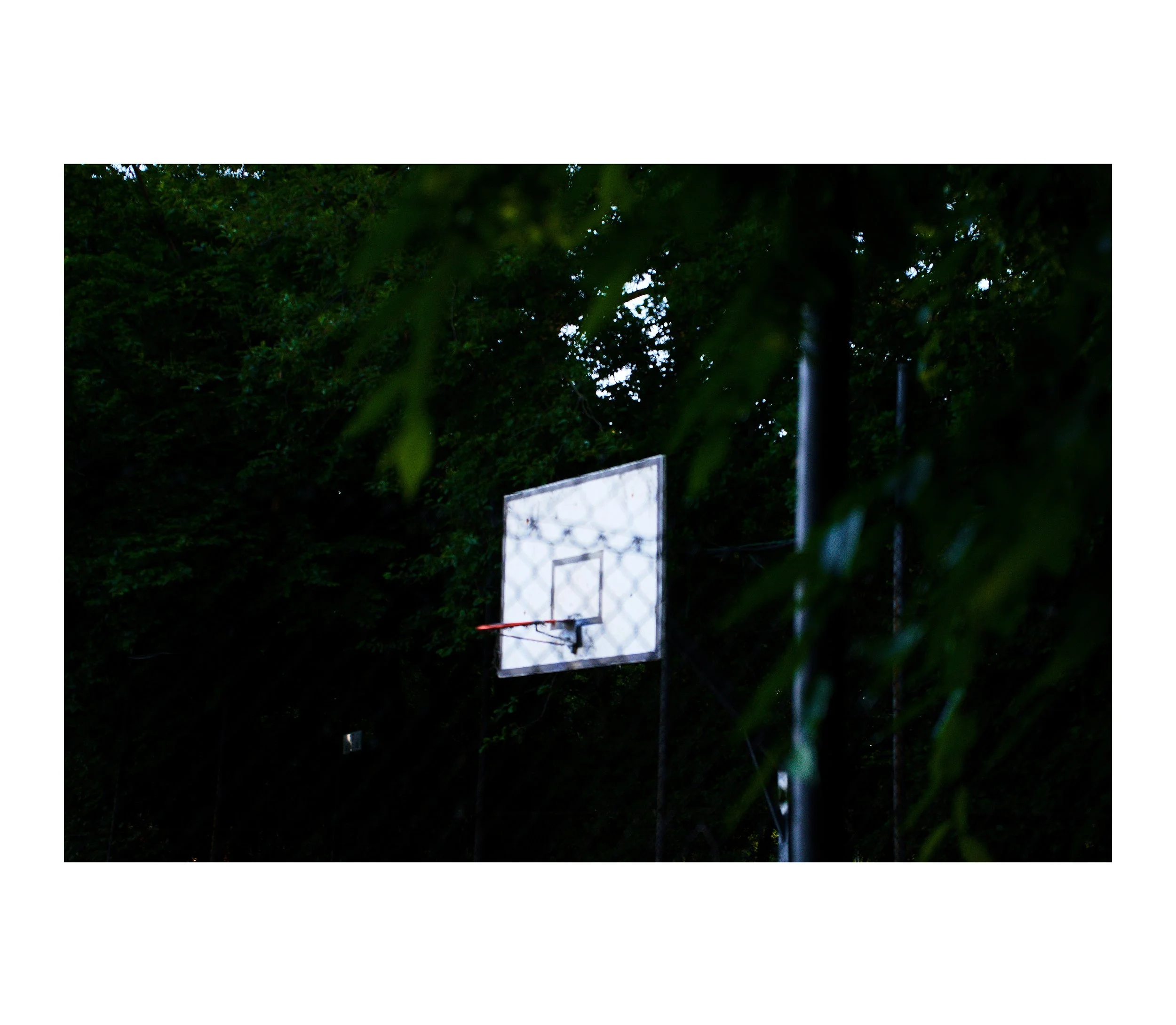 Ein Basketballkorb auf einem Freiplatz, umgeben von Bäumen bei Dämmerung.