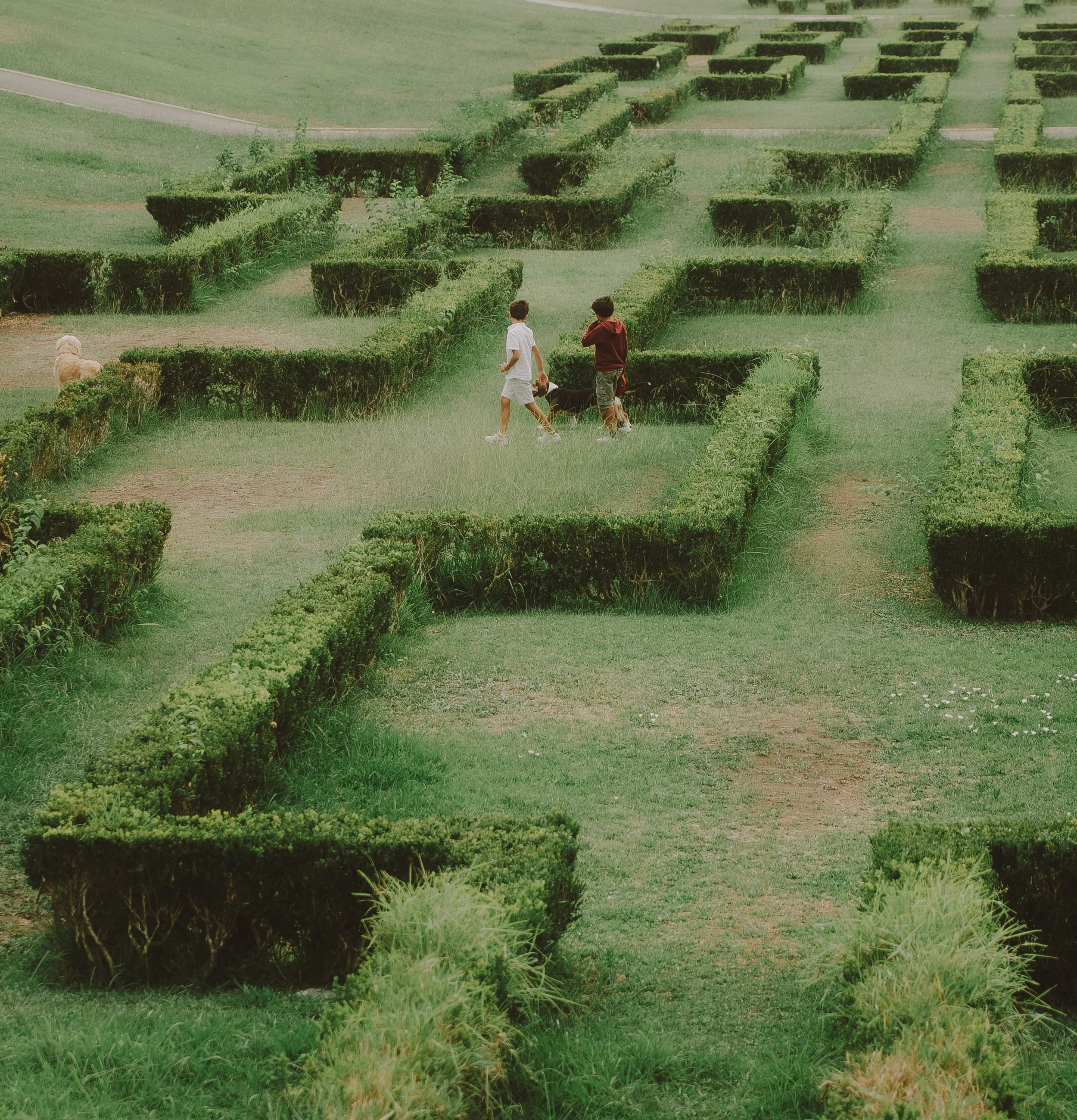 Zwei Jungen mit einem Hund in einem geometrisch angelegten grünen Garten, umgeben von hohen, rechteckigen Hecken, mit einem Hund im Hintergrund.