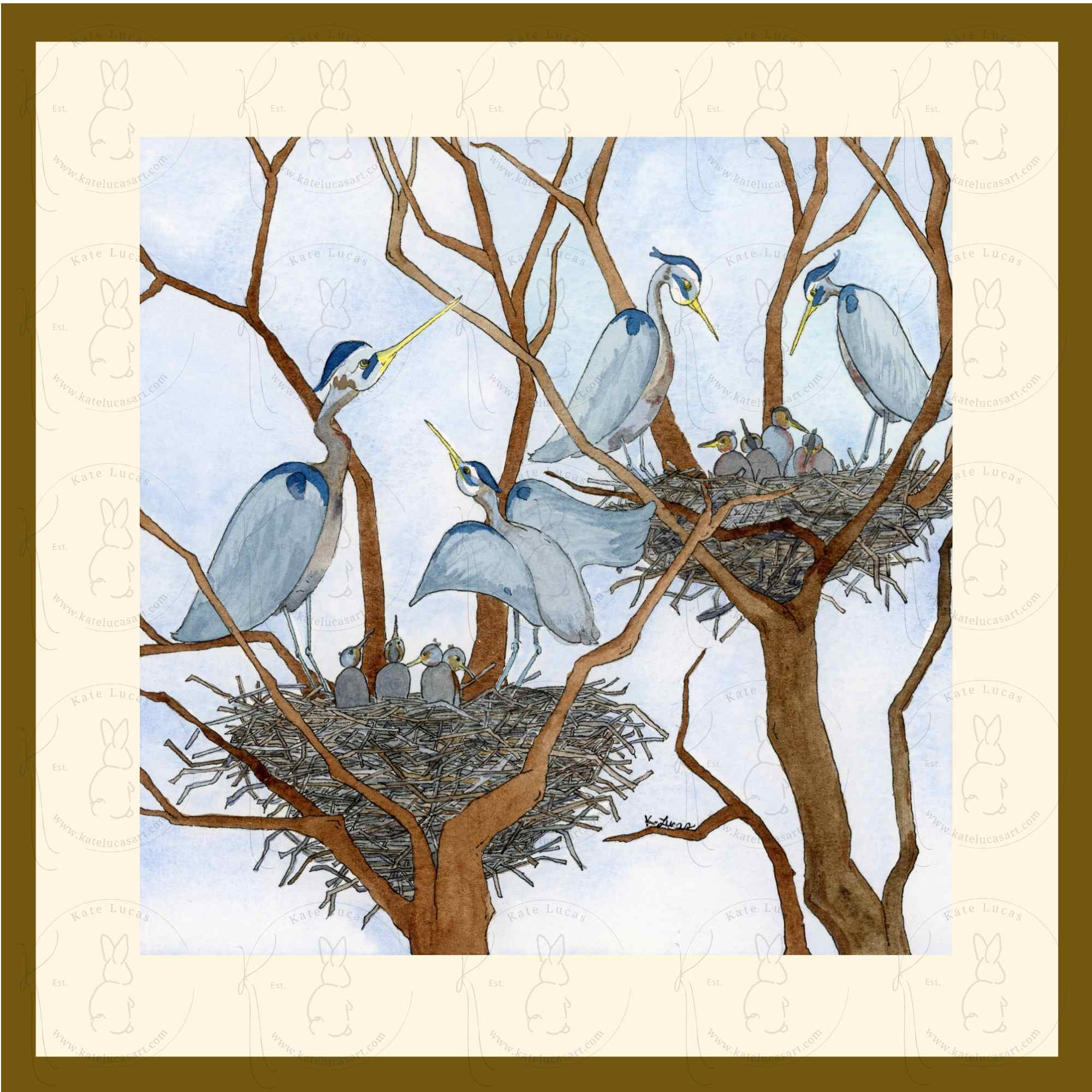 Heron Rookery.jpg
