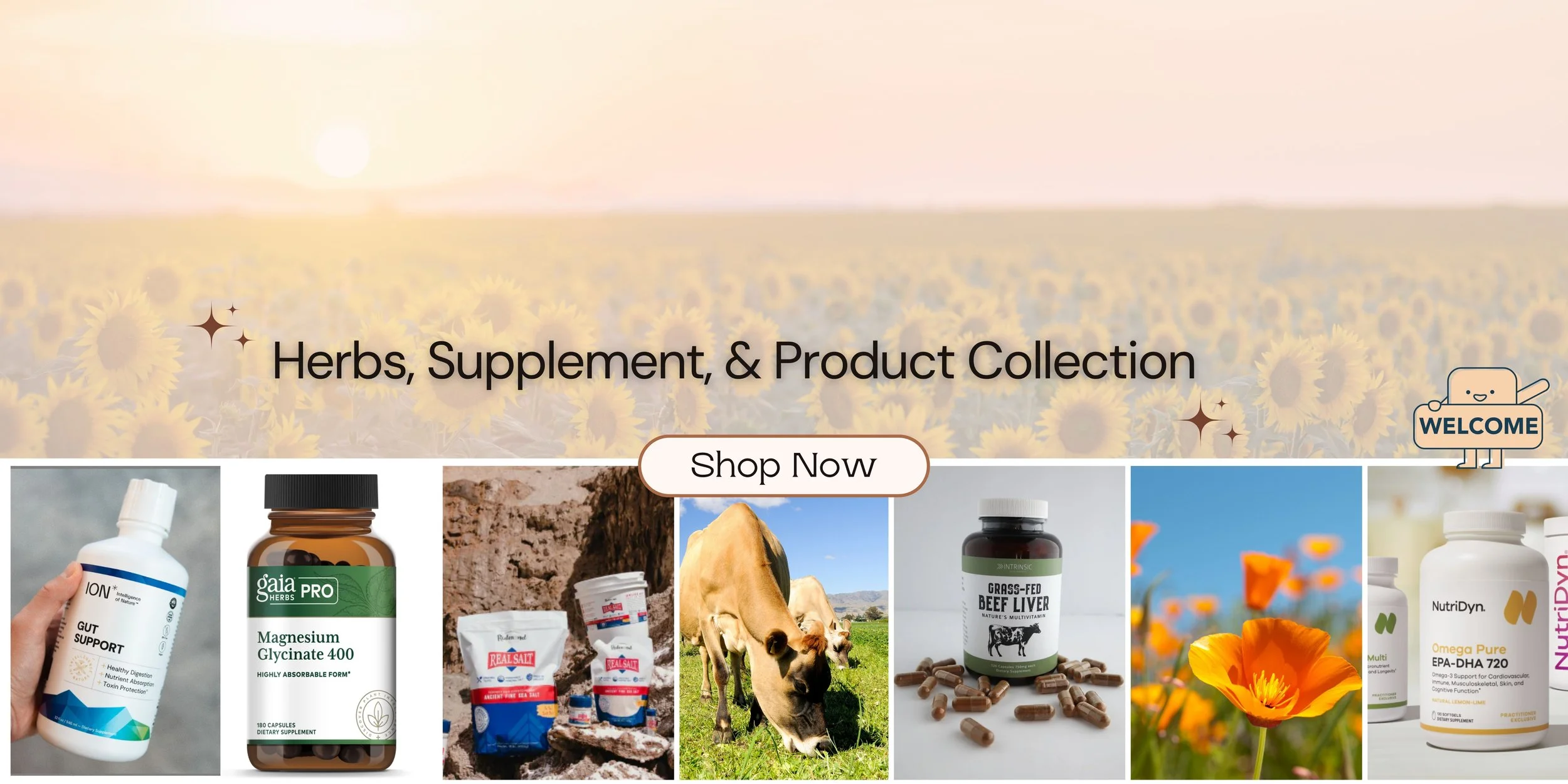 Pathway to wellness store front banner.jpg