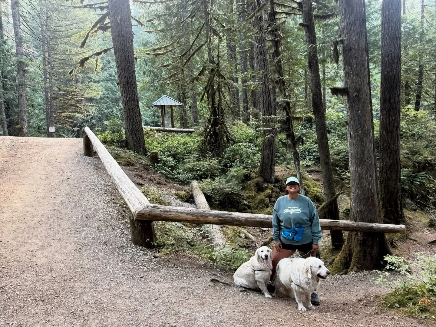 Spent a little time outdoors enjoying the peace of the last few days of summer. #pnw #mountbaker #goldensofinstagram #pnwgirl