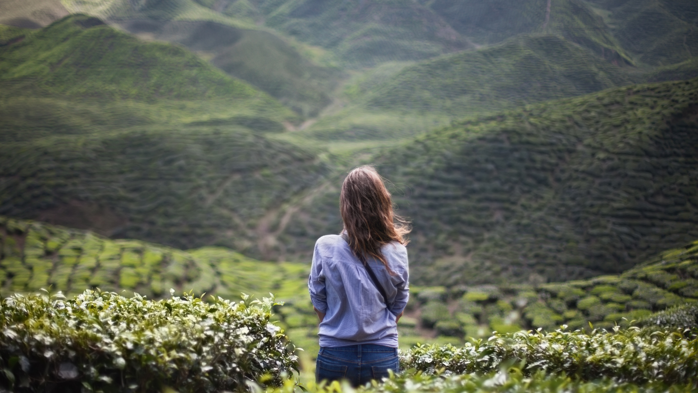 Endorsement for Julie Fowler Ministries