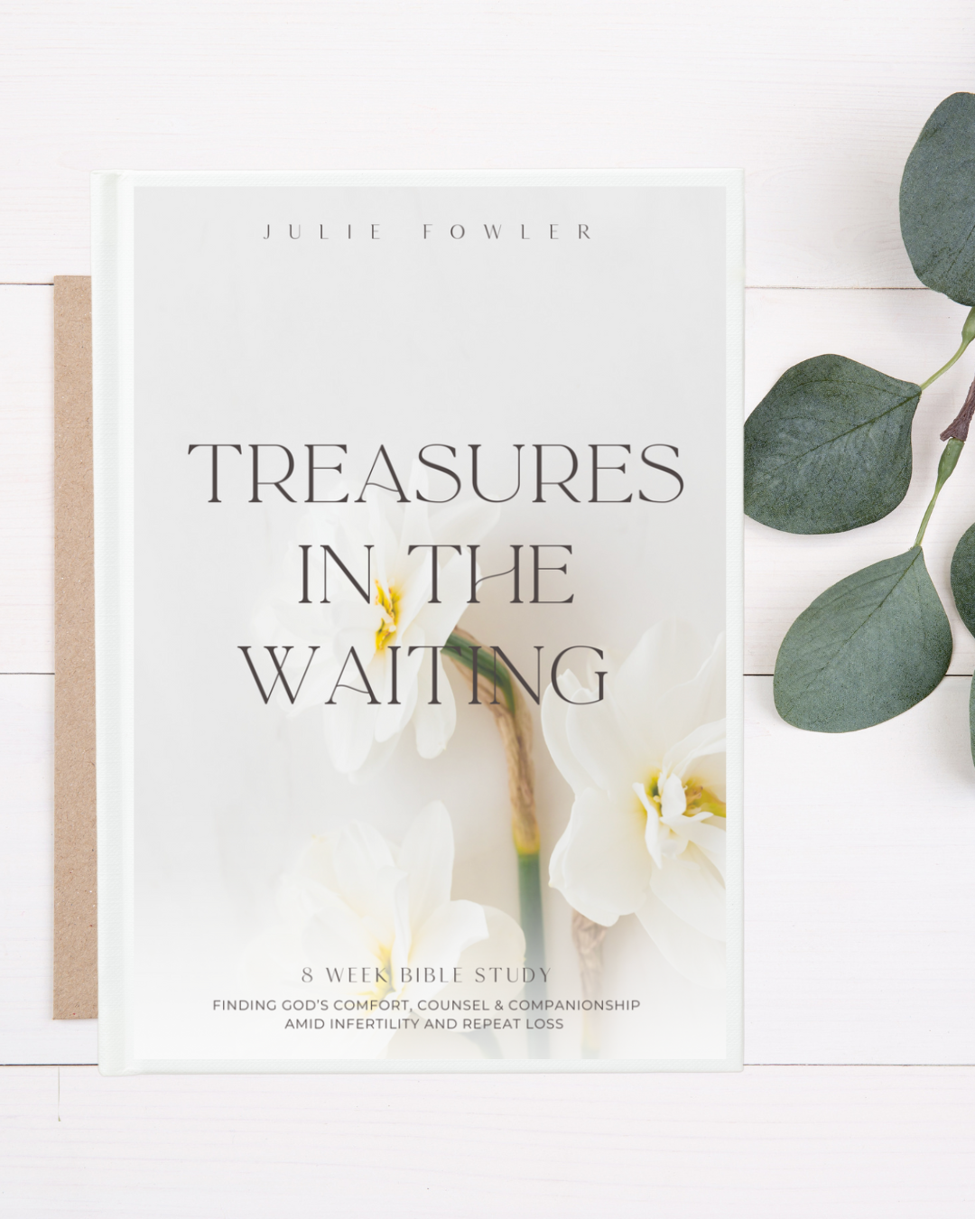 Christian infertility Bible study offering Scripture-based hope and healing