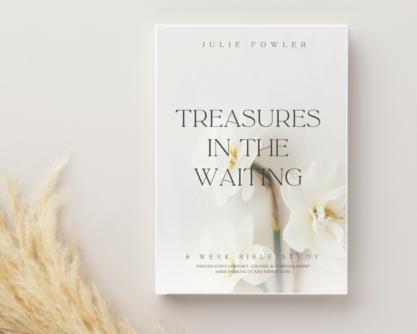 Christian infertility Bible study offering Scripture-based hope and healing