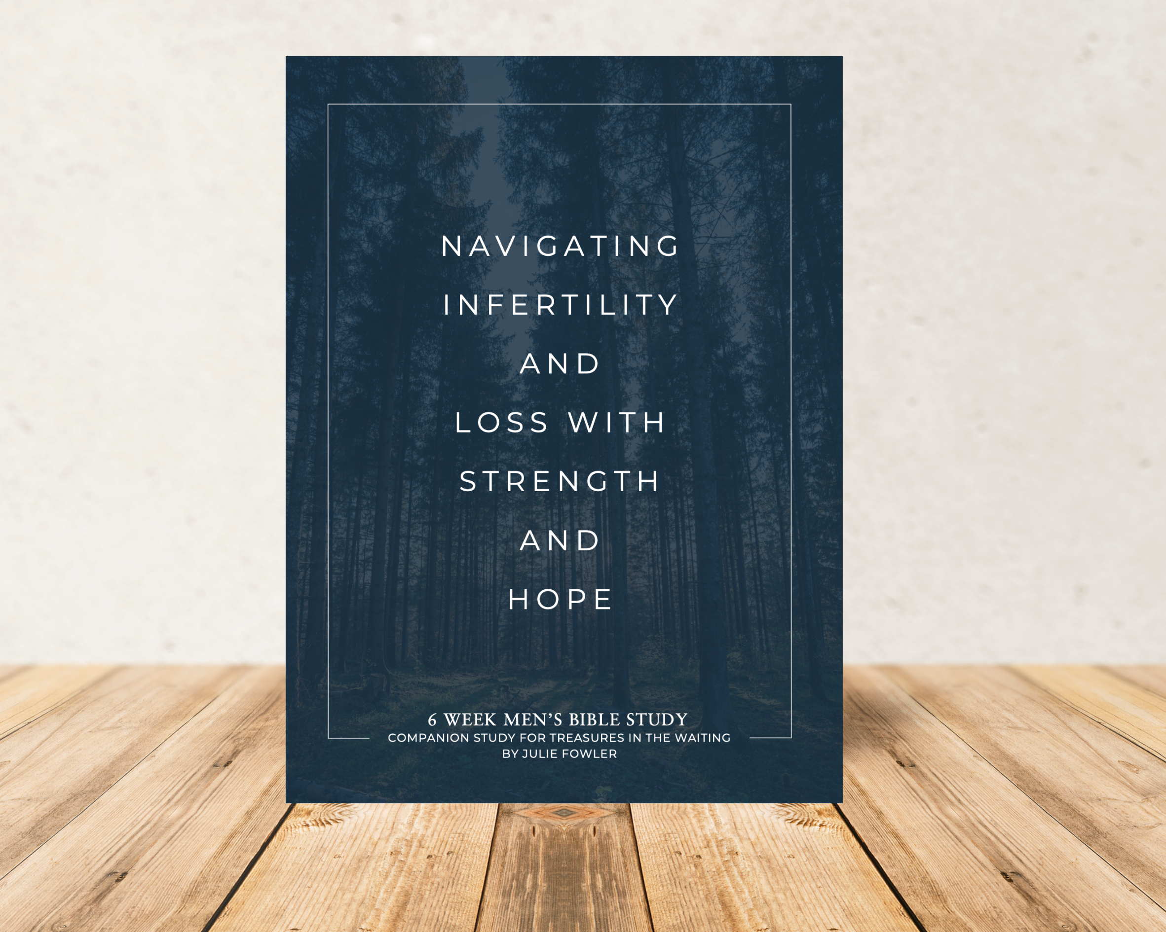 Christian infertility Bible study offering Scripture-based hope and healing