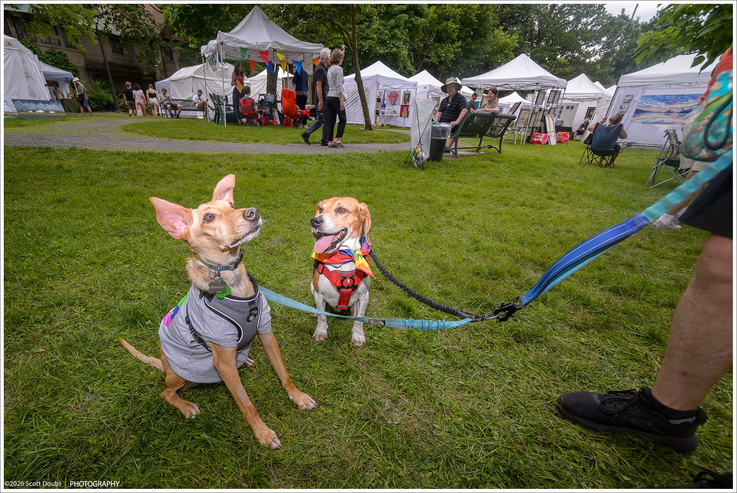 sd3_Art_In_The_Park_Day_01_8578.jpg